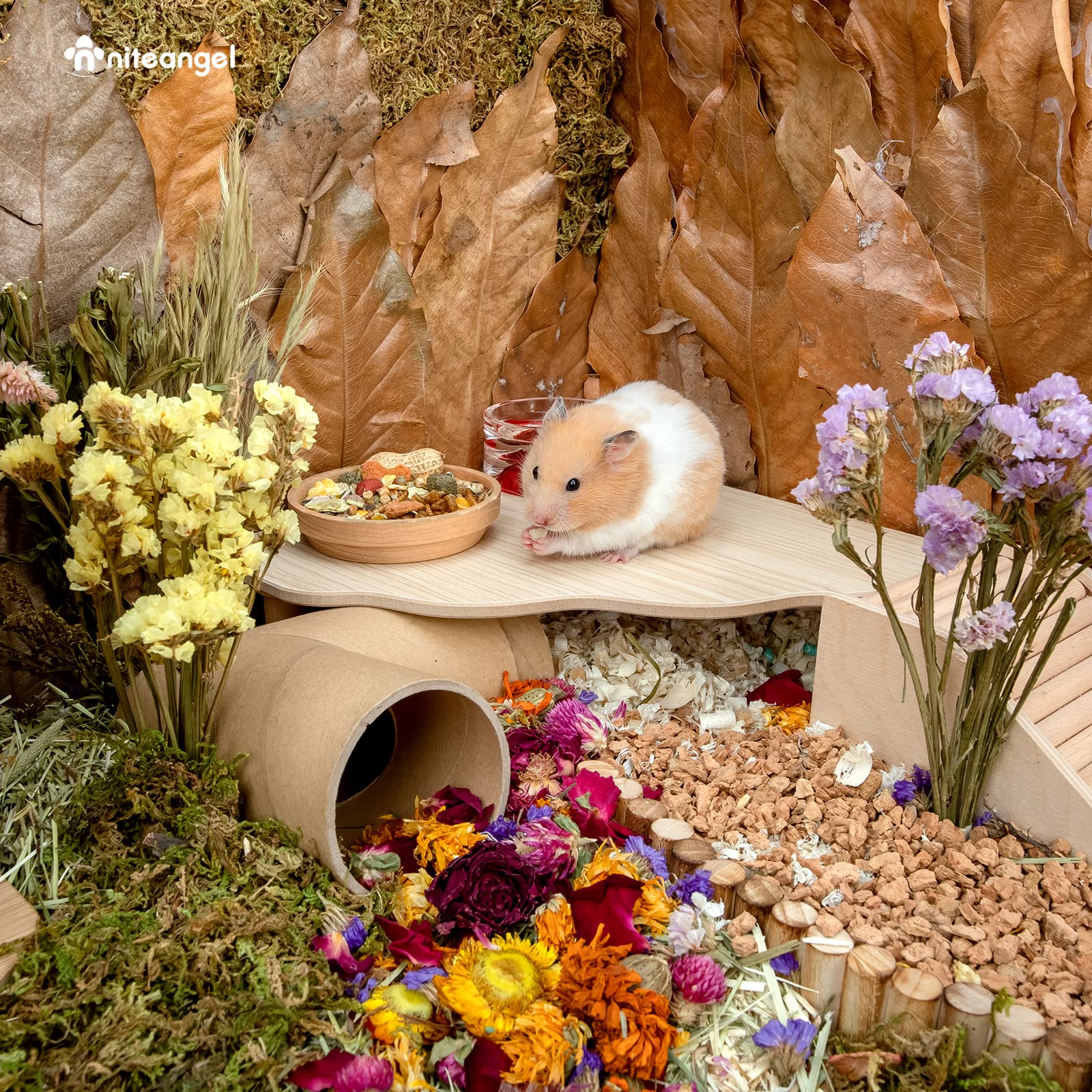 Niteangel Hamster Play Wooden Platform For Dwarf Syrian Hamsters Gerbils Mice Degus Or Other Small Pets (Triangle - 5.9'' Height, Burlywood)