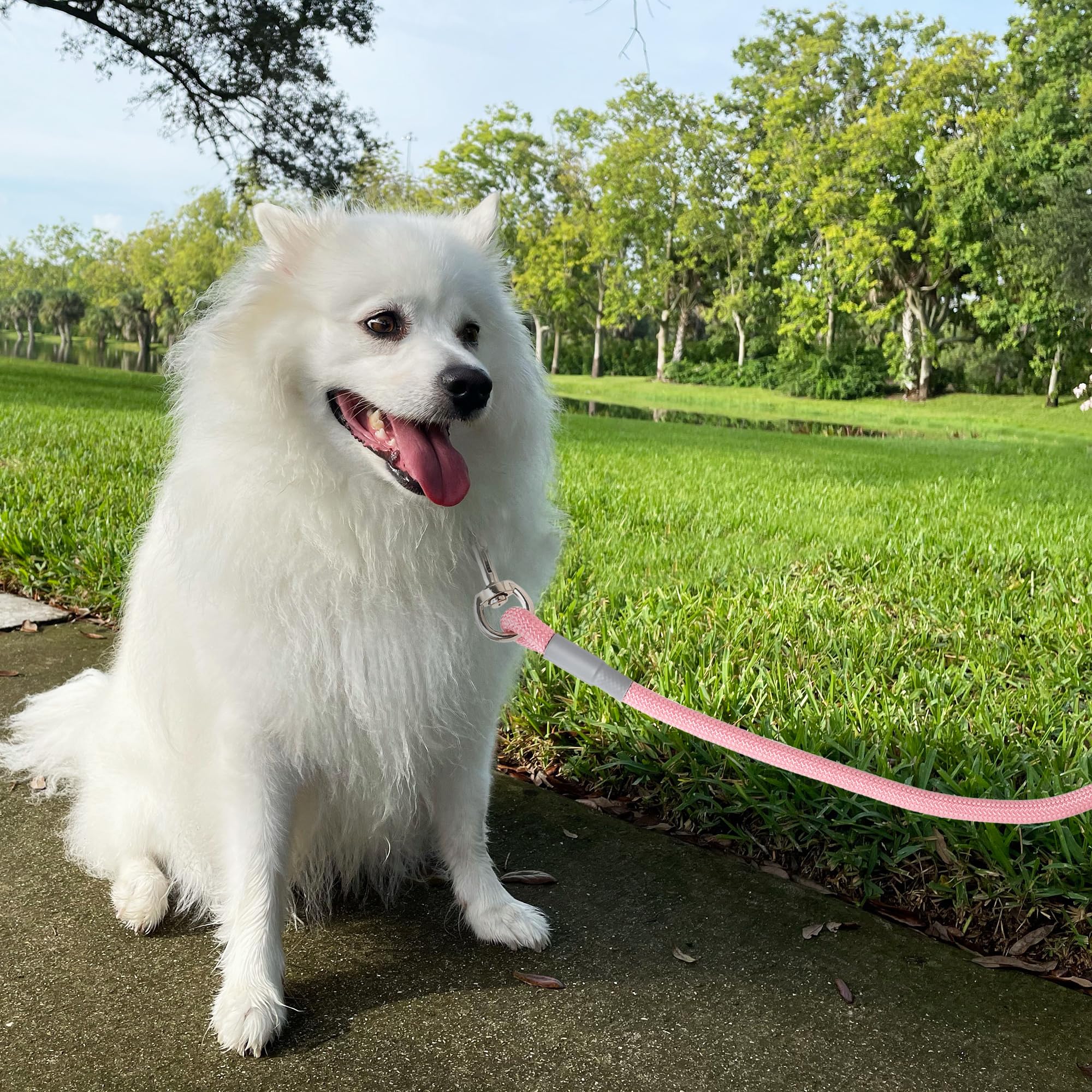 Mile High Life Dog Leash, With Comfortable Padded Handle, Pink Nylon Rope Leash With Steel Tips, Heavy Duty 5 Feet Pet Leashes (