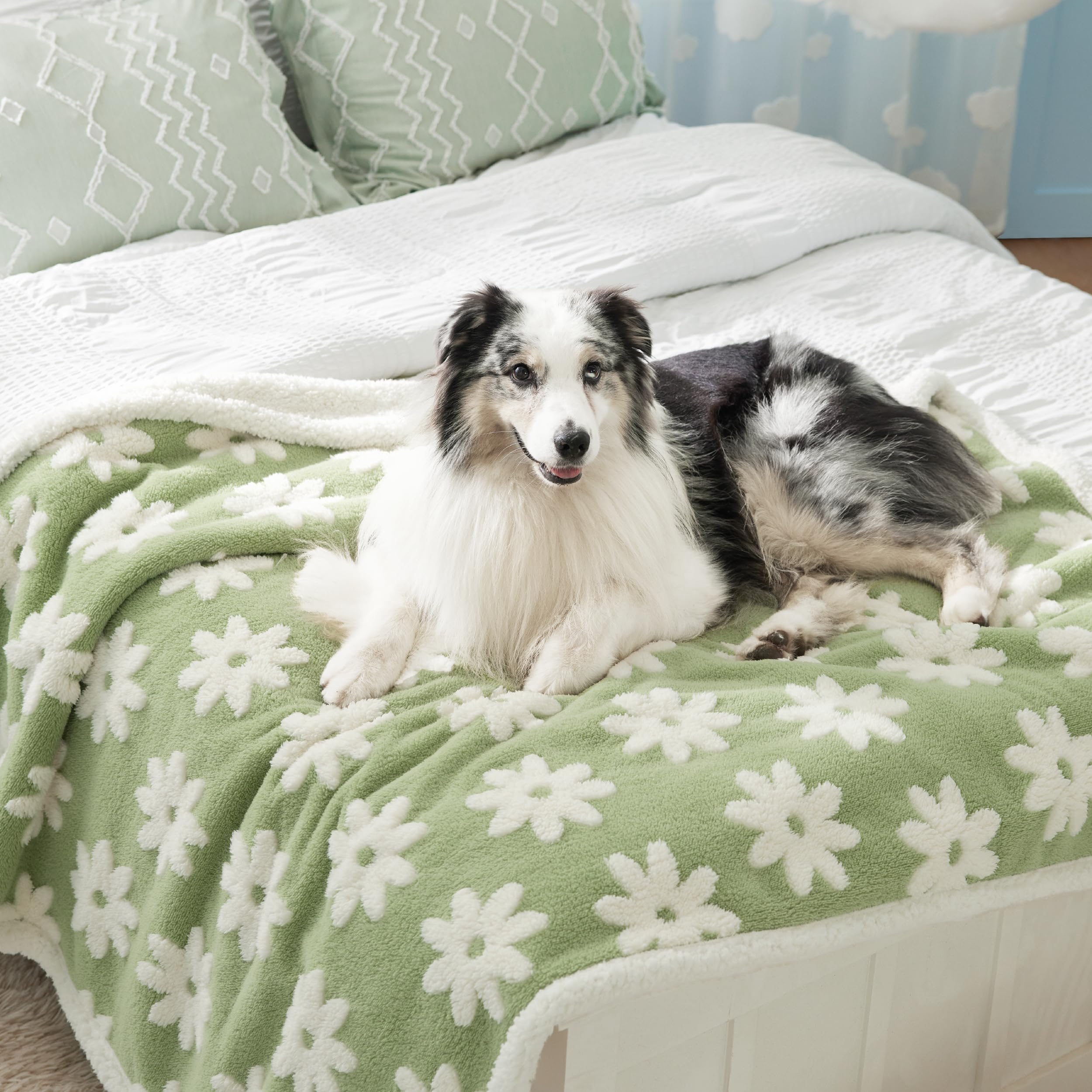 Lesure Waterproof Dog Blanket For Large Dogs - Washable Double Sided Dog Blankets With Warm Jacquard Shag And Soft Sherpa Fleece, Pet Cat Blanket For Bed Couch Protection, 3D Textured Cloud, Green