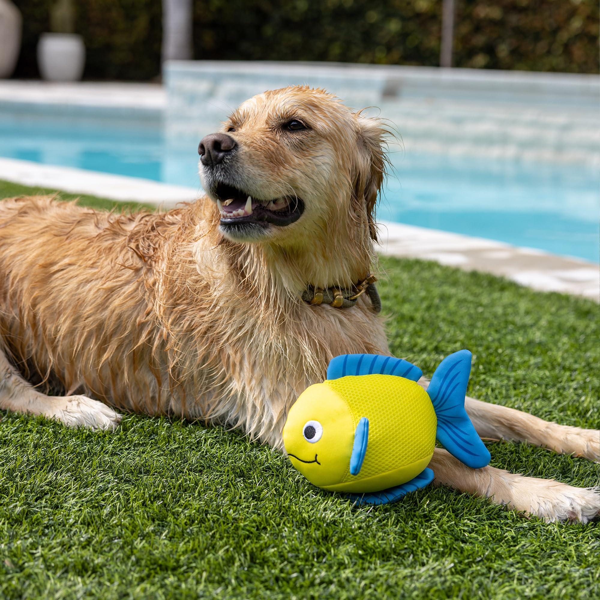 Fringe Studio ''PIPSQUEAK Floating Dog Toys, Pet Shop Collection (640005)