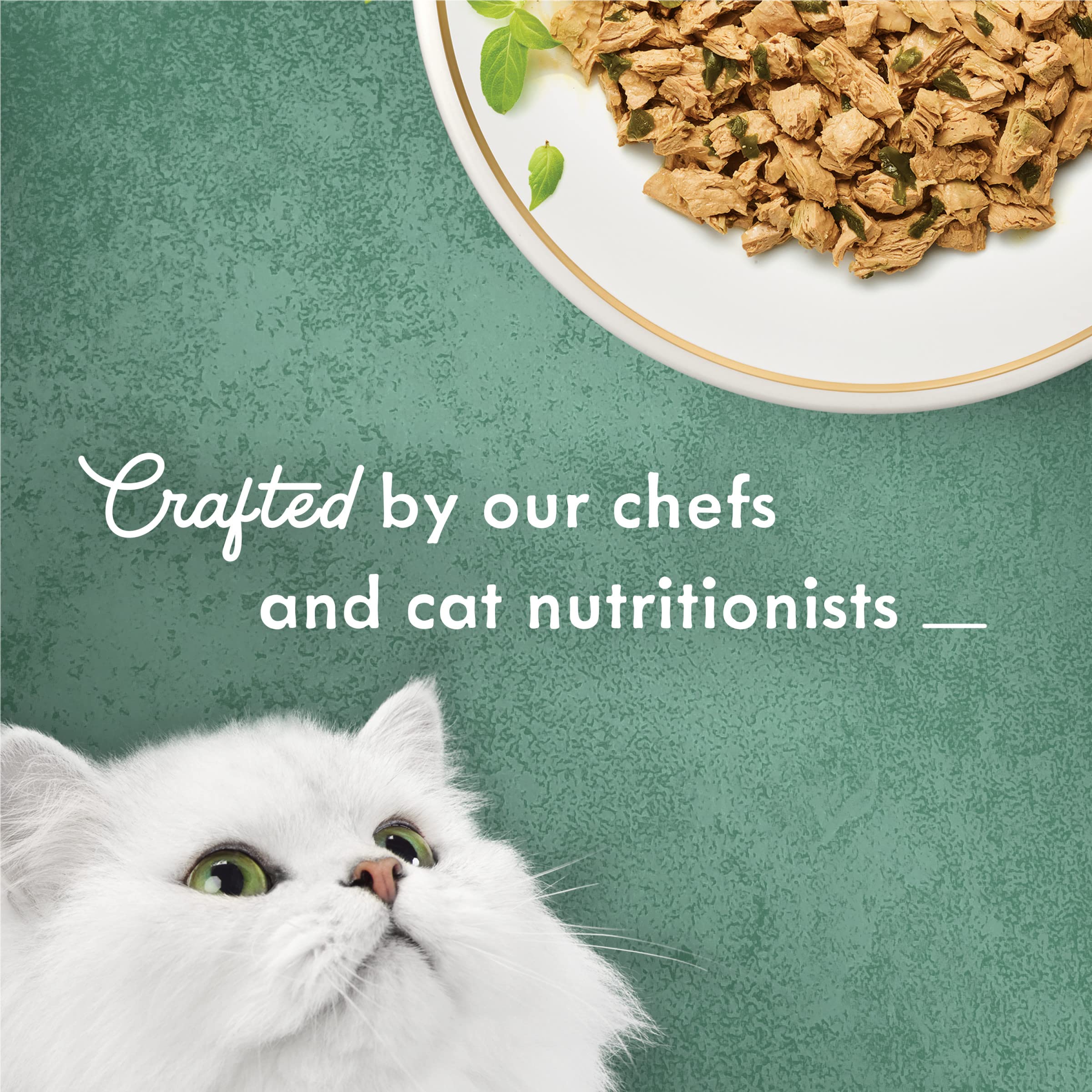 Fancy Feast Wet Cat Food Medleys Shredded Chicken with Spinach, 3 oz Cans, Pack of 24
