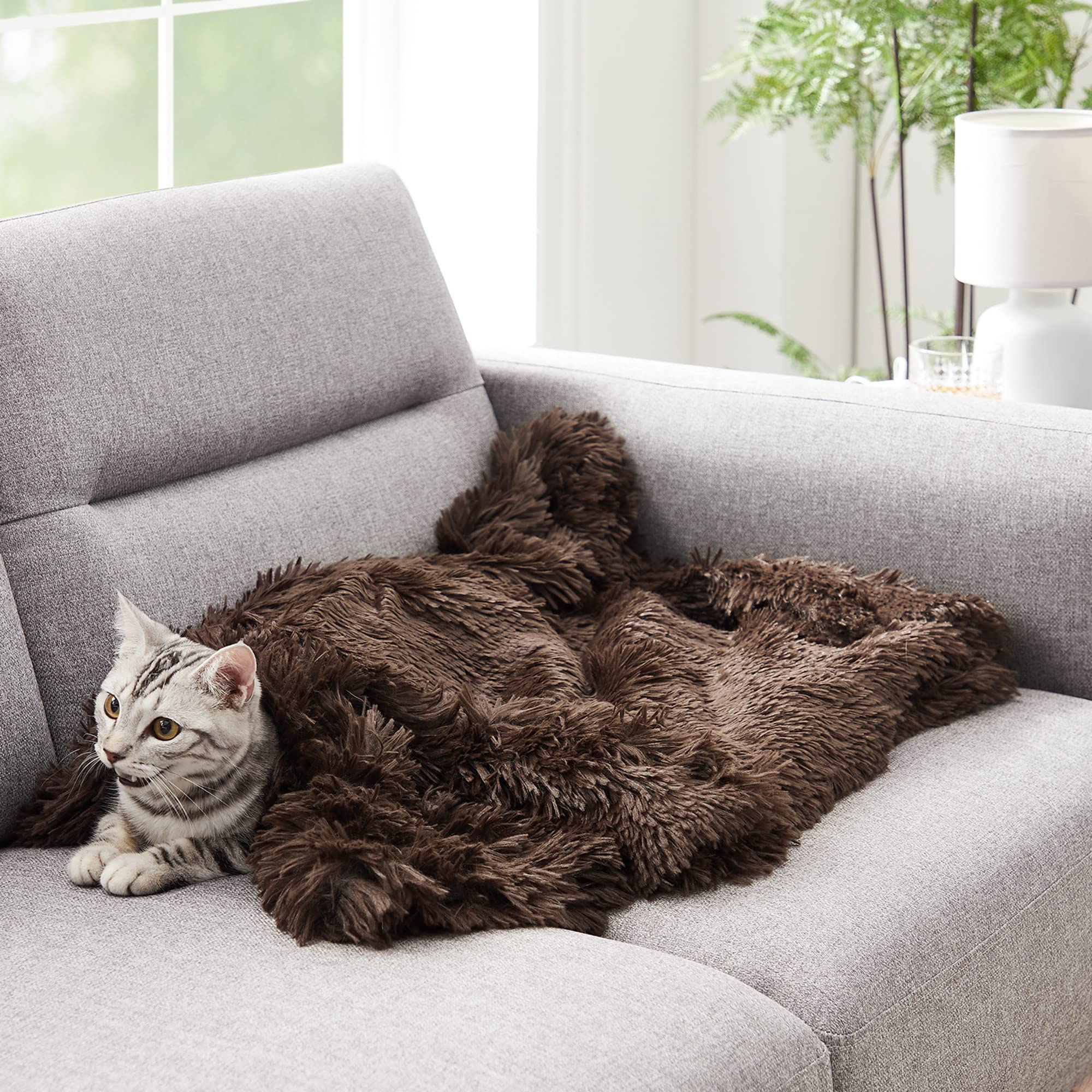 Best Friends By Sheri Calming Shag Fur Pet Throw Blanket, Darck Chocolate, 30'X40'