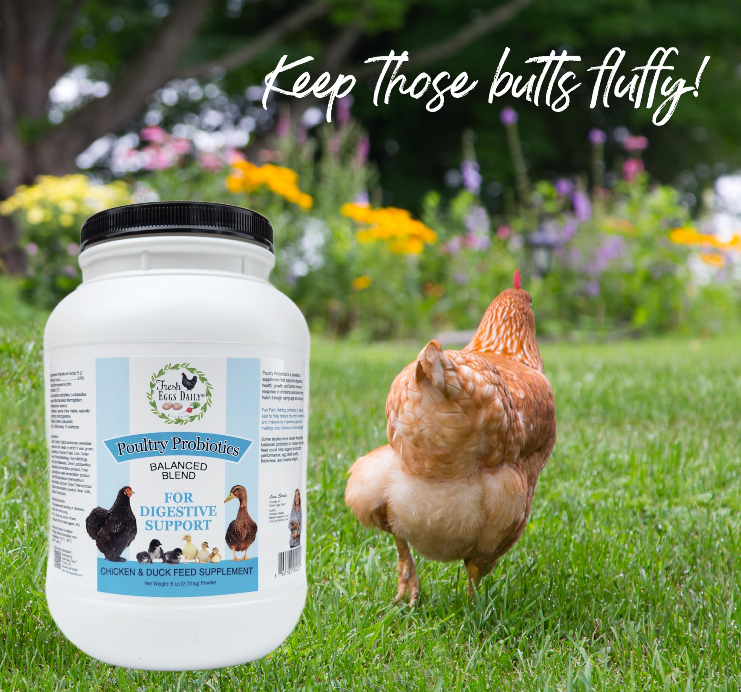Fresh Eggs Daily Poultry Probiotics Feed Supplement - Natural Digestive & Immune Support for Chickens & Ducks - Enhances Egg Qua
