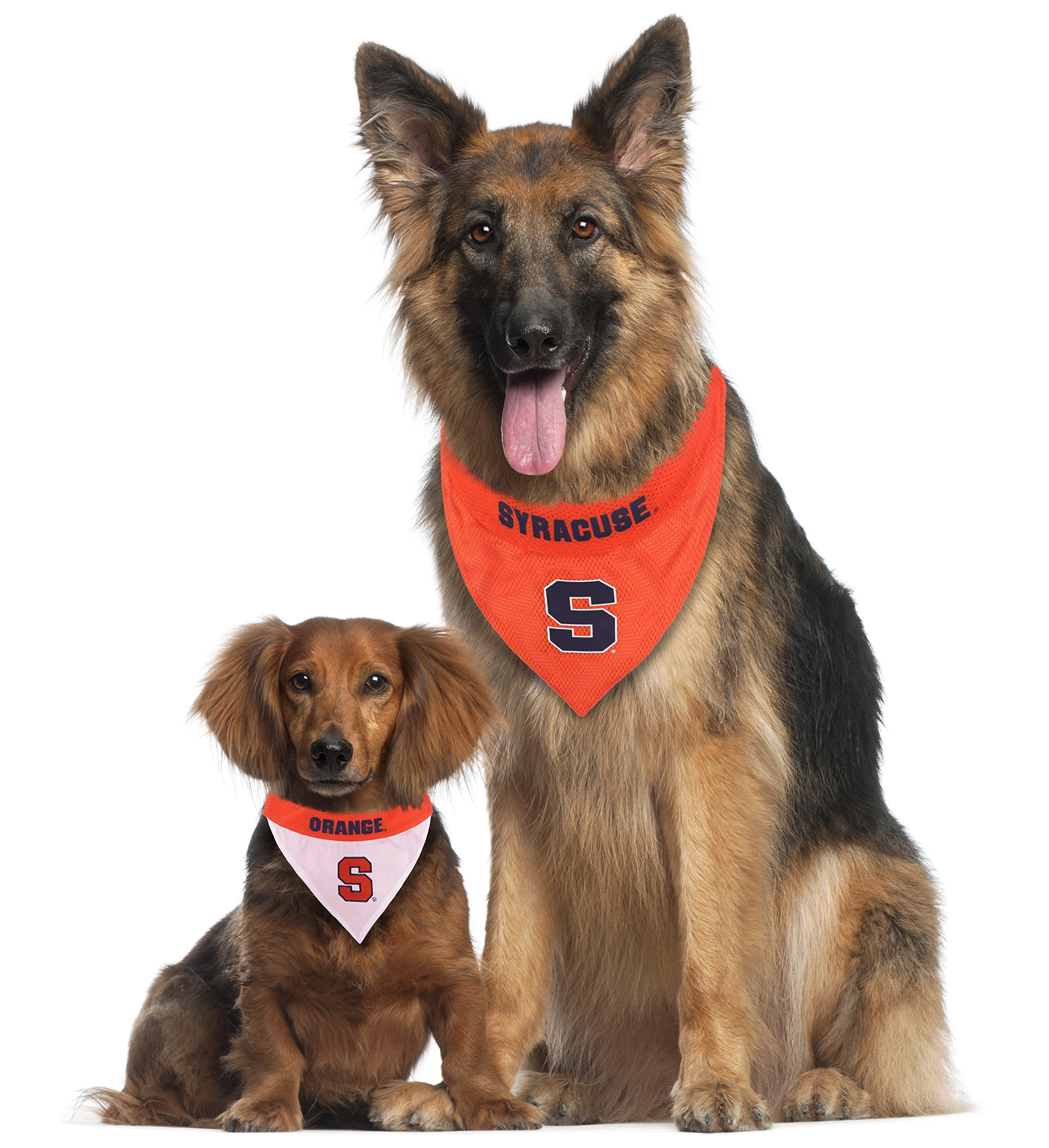 Pets First Collegiate Pet Accessories, Reversible Bandana, Syracuse Orange, Small/Medium