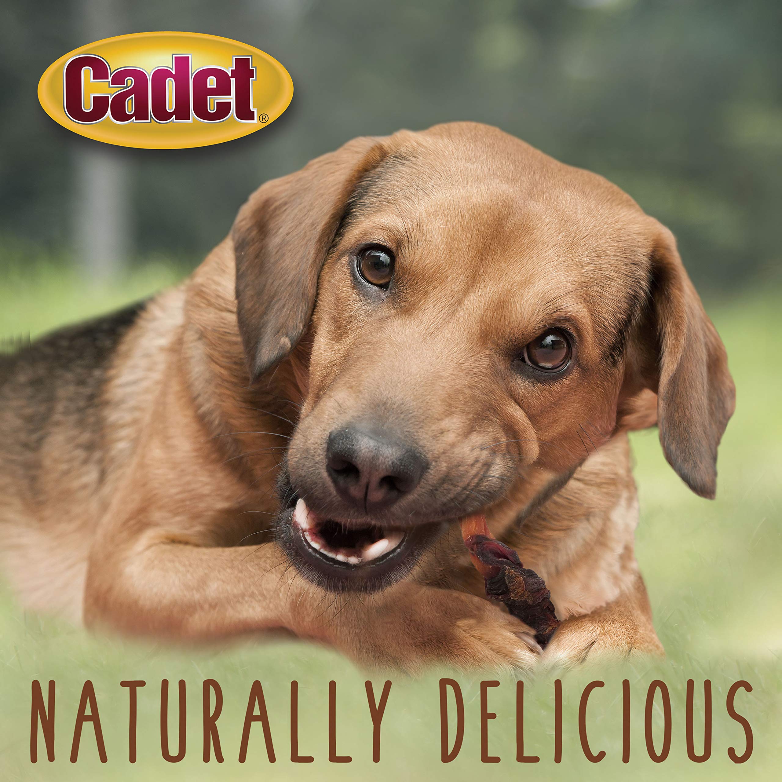 Cadet Gourmet Sweet Potato & Duck Wraps Dog Treats - Healthy & Natural Duck & Sweet Potato Dog Training Treats for Small & Large