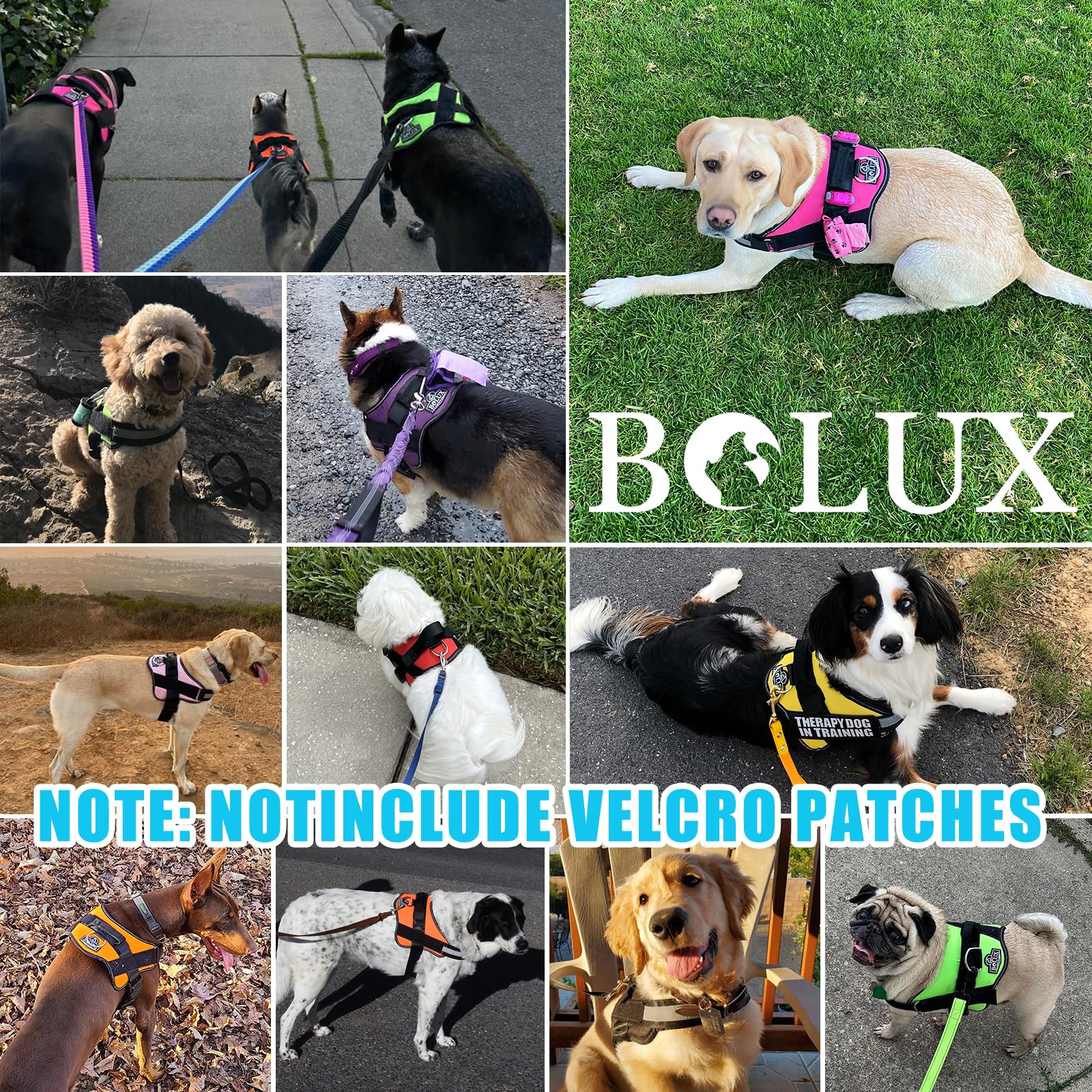 Bolux Dog Harness, No-Pull Reflective Dog Vest, Breathable Adjustable Pet Harness With Handle For Outdoor Walking - No More Pulling, Tugging Or Choking (Oceanicblue, Small (Pack Of 1))