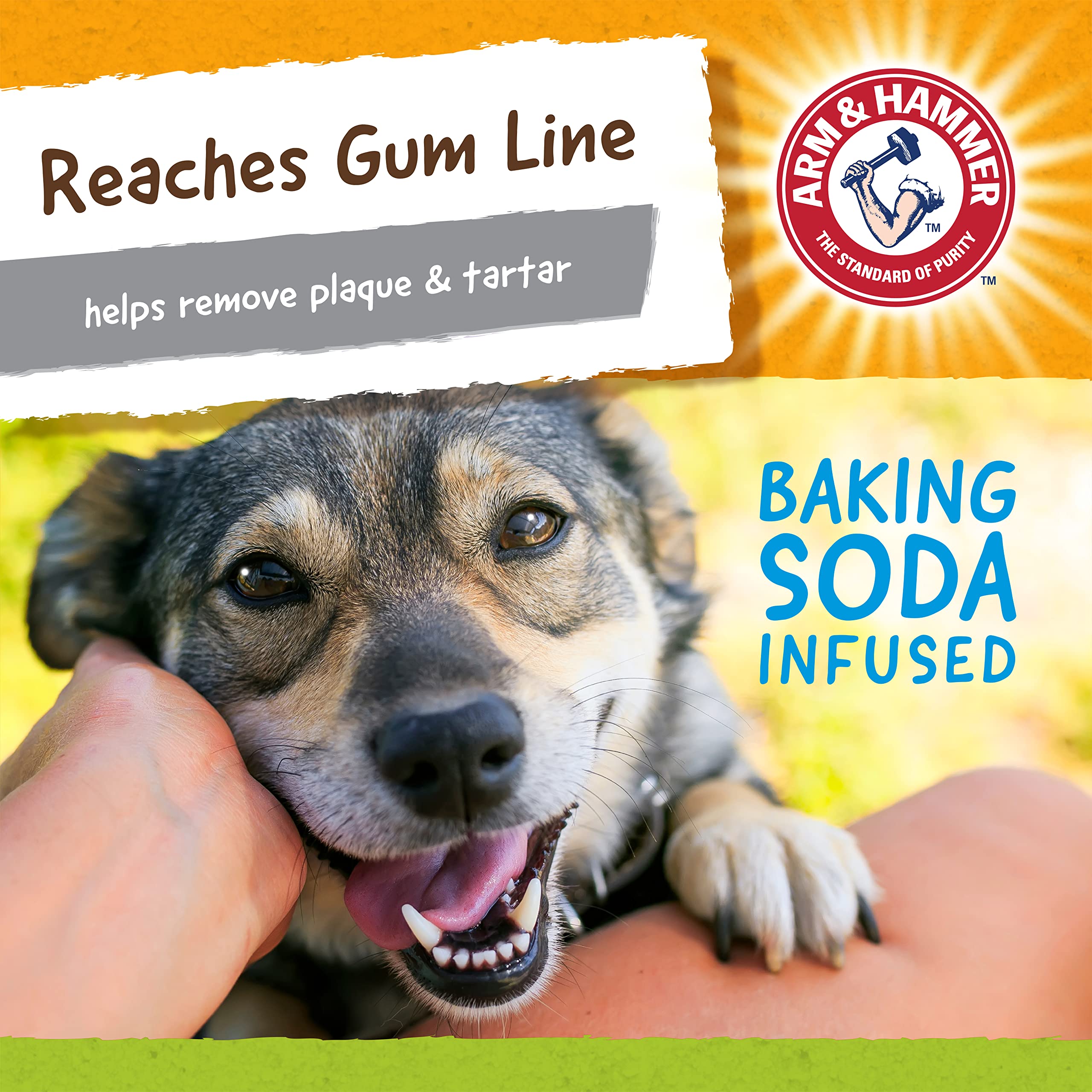 Arm & Hammer for Pets Nubbies Duality Bone Dental Dog Toy| Best Dog Chew Toy for Moderate Chewers | Dog Dental Toy Helps Reduce