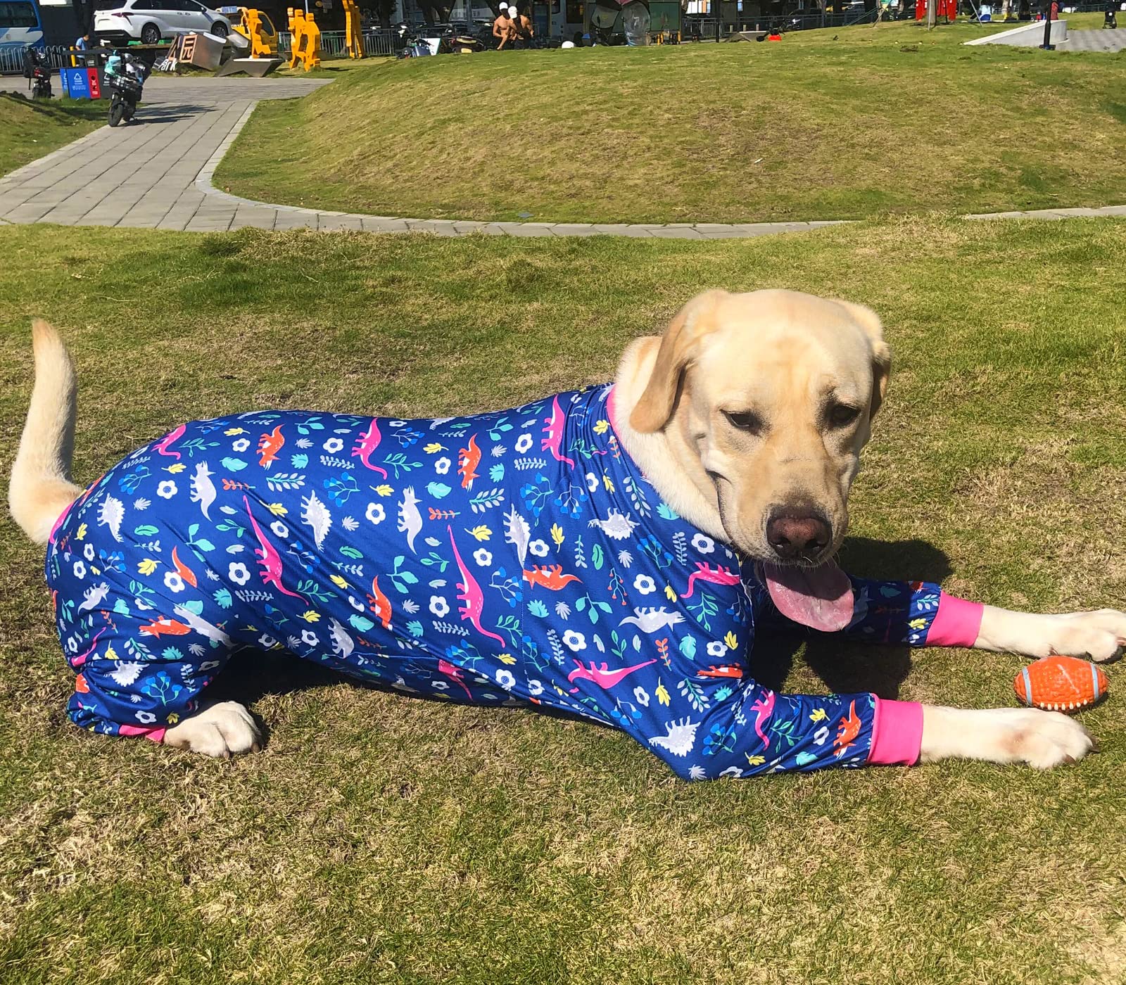 Pripre Dinosaur Printed Long Sleeve Recovery Shirts Soft Pajamas Onesie Jumpsuit Prevent Licking Shedding Suit For Large Dogs (N