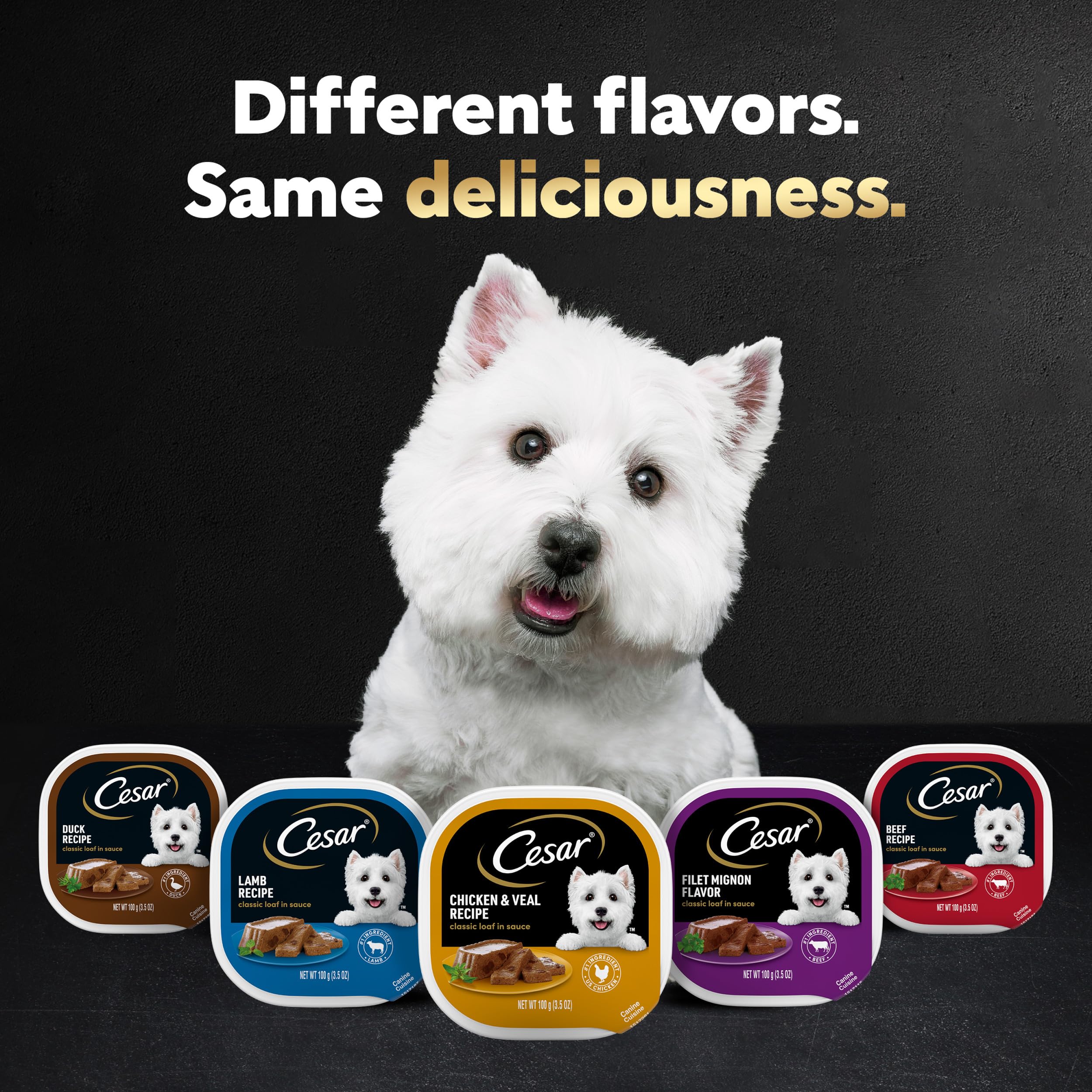 CESAR Adult Wet Dog Food Classic Loaf in Sauce Beef Recipe, Filet Mignon, Grilled Chicken and Porterhouse Steak Variety Pack, 3.