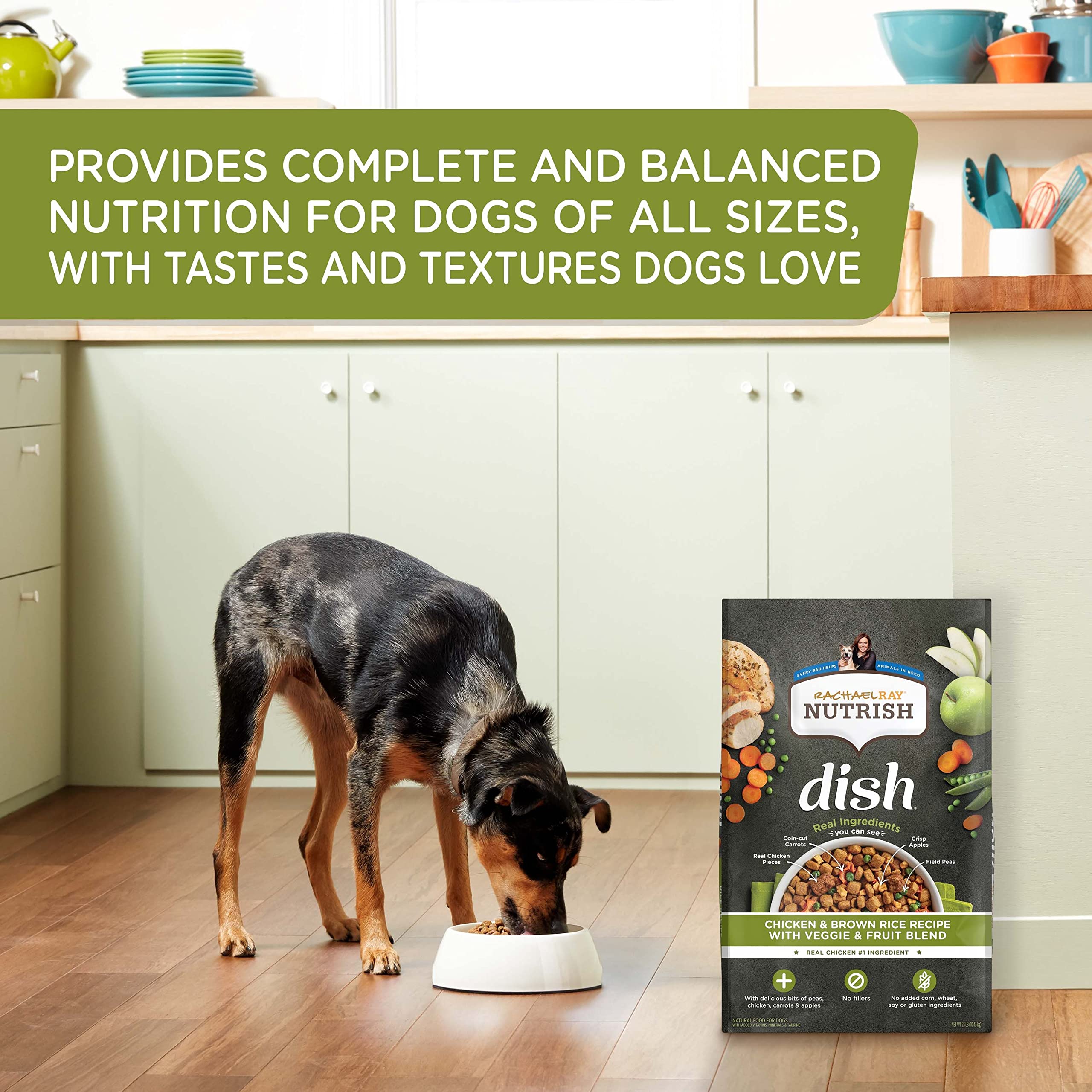 Rachael Ray Nutrish Dish Premium Natural Dry Dog Food, Chicken & Brown Rice Recipe with Veggies & Fruit, 3.75 Pounds