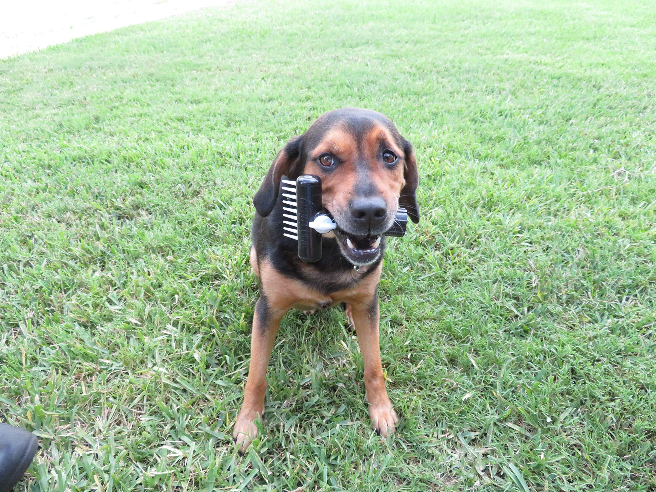 Dog-Pet Aqua Comb