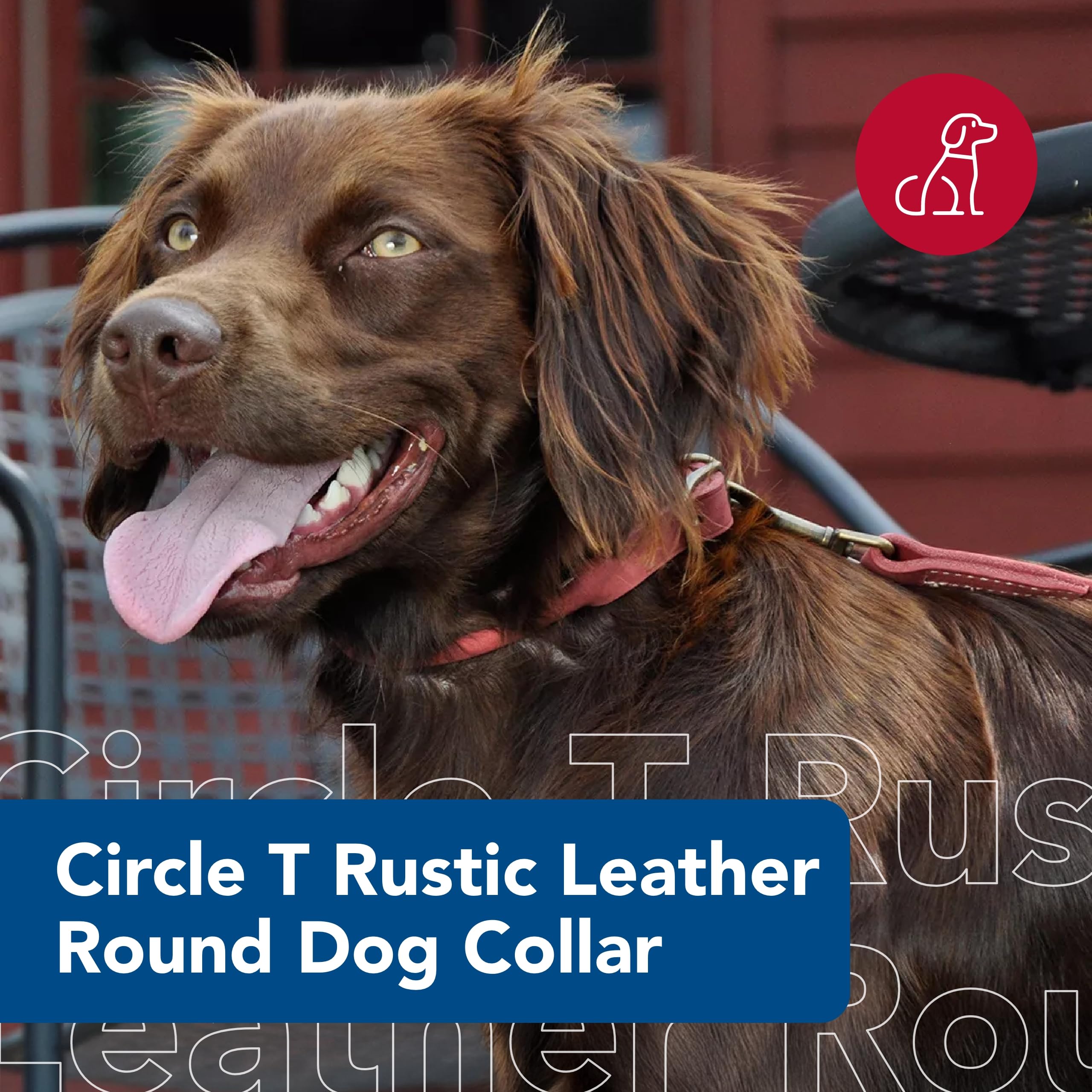 Coastal Pet - Circle T - Rustic Leather Round Dog Collar, Brick Red, 5/8' X 16'