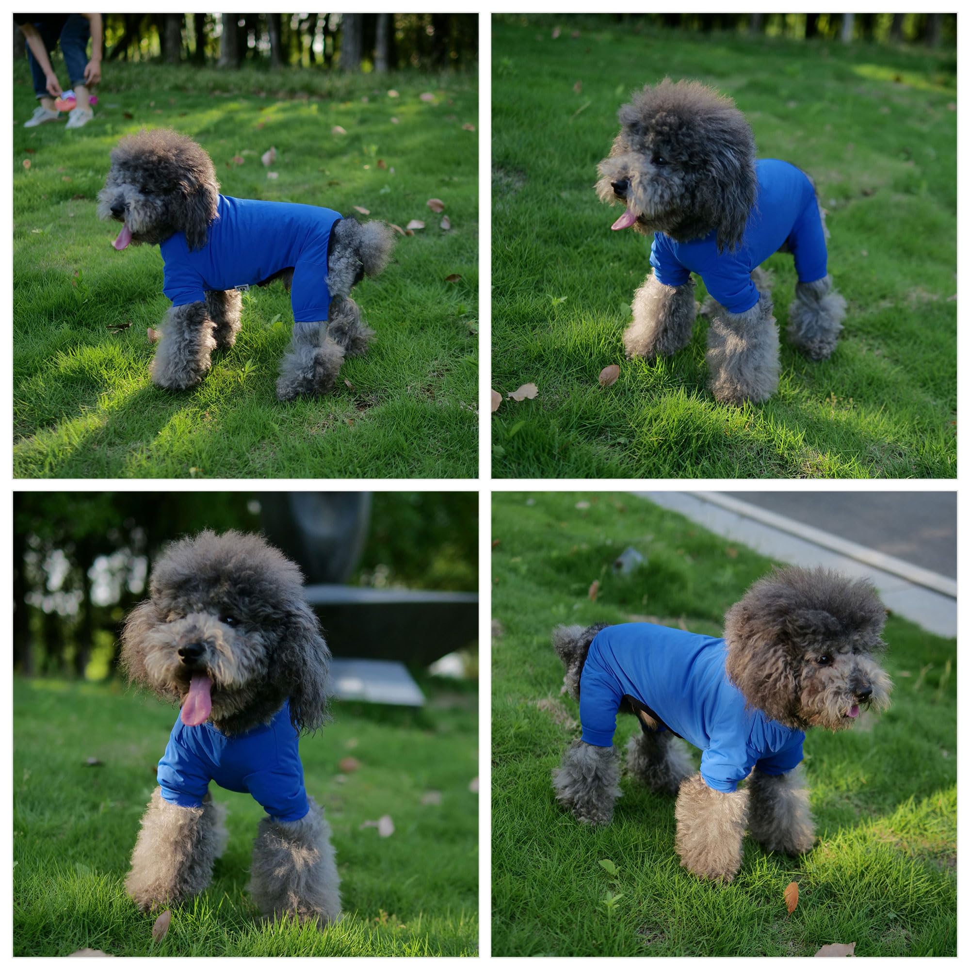 Lovelonglong Dog Jumpsuit With Uv Protection And Quick-Dry Fabric For Spring Summer Pet Pajamas Royel Blue Xs