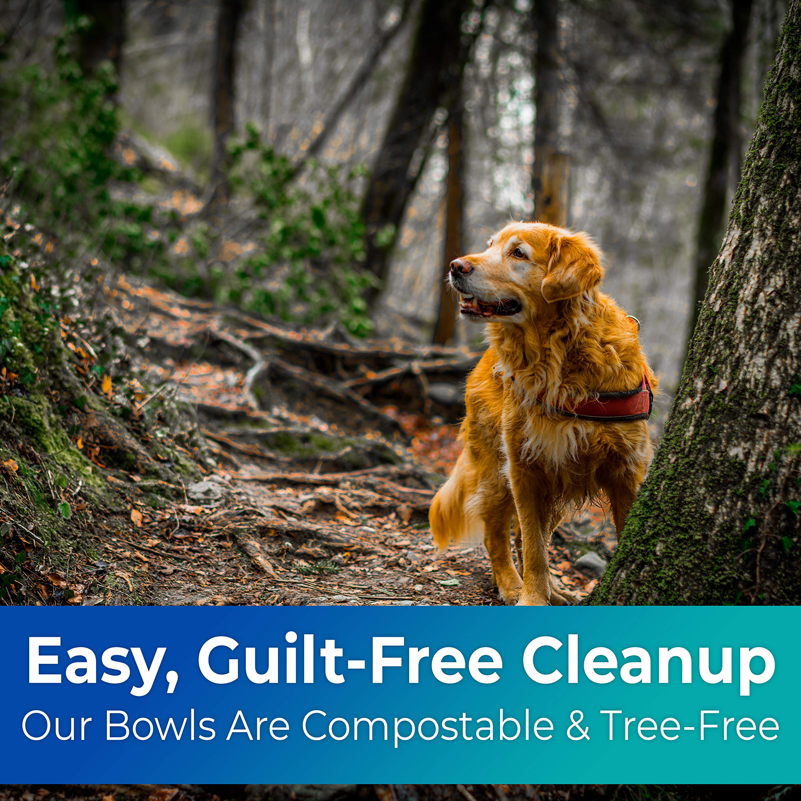 Vet-Grade, Biodegradable and Disposable Pet Bowls Bulk 50 Pk 8 Oz/1 Cup. Safe, Non-Toxic Food and Water Dishes for Puppies, Smal
