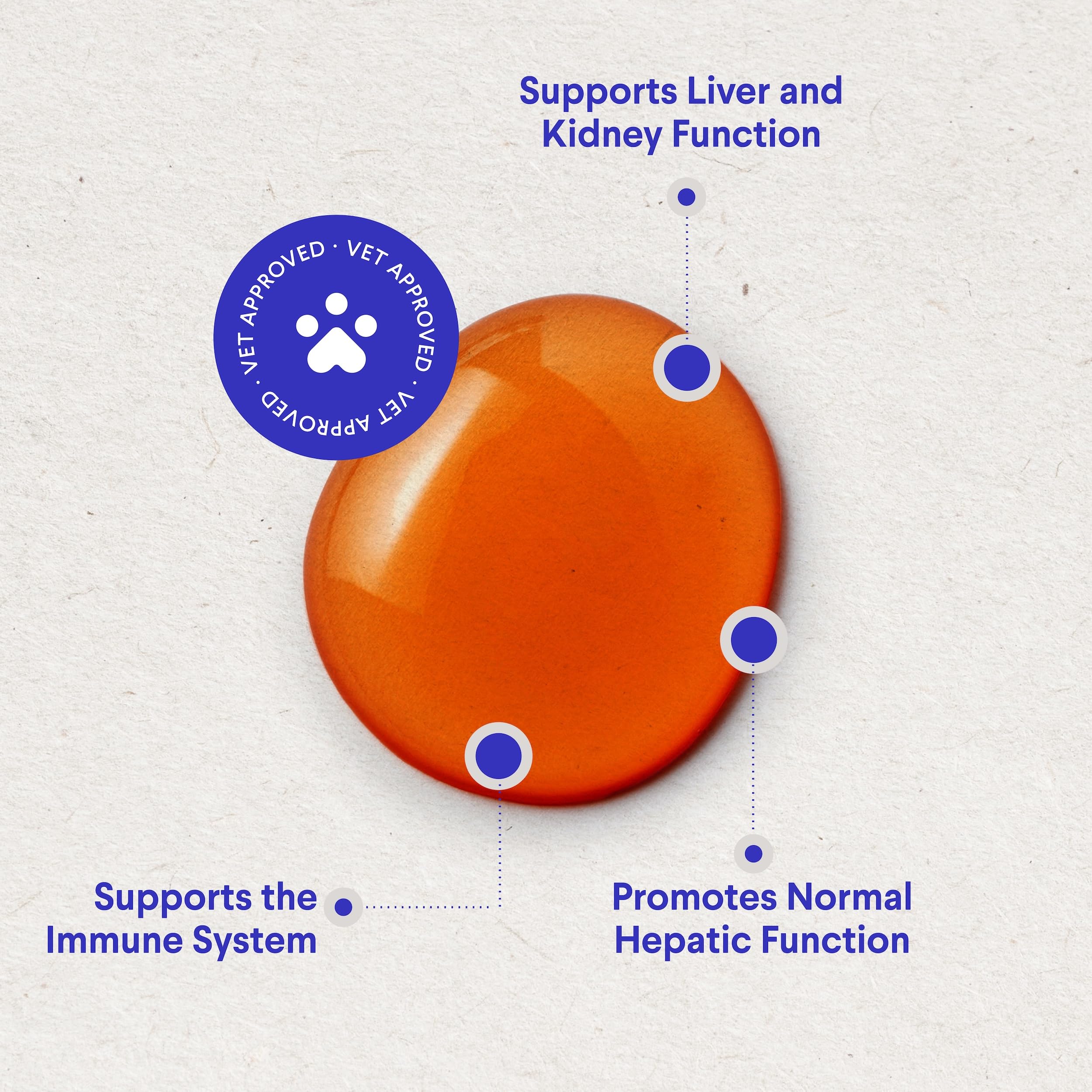 Wonder Paws Milk Thistle, Liver Support for Dogs, Supports Kidney Function for Pets, Detox, Hepatic Support, with Wild Alaskan S