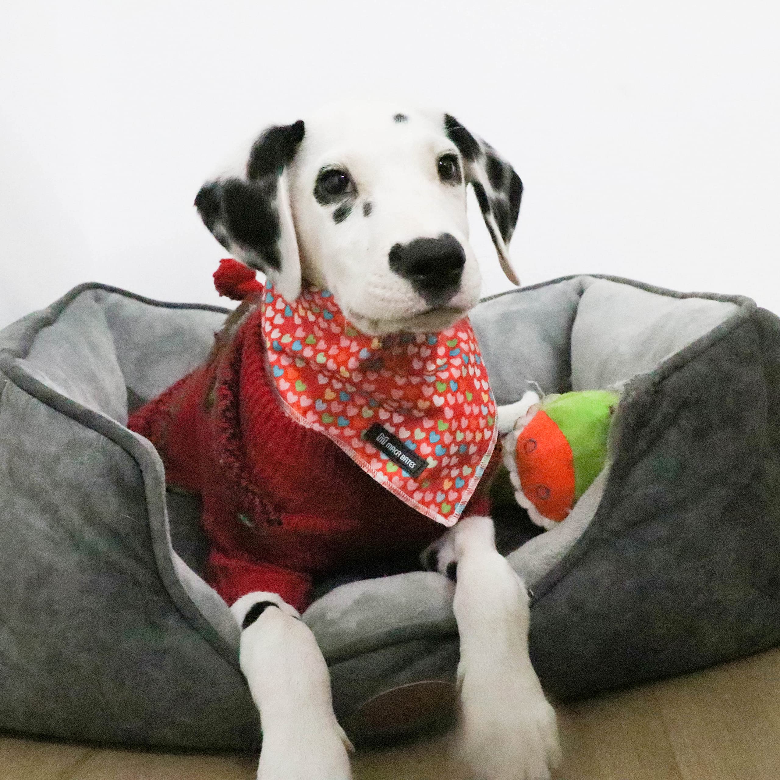 MACA Bates Valentines Day Sweet Heart Dog Bandana Triangle Scarf Handkerchief Soft Cotton Cute Adjustable Puppy Bandanas Gift fo