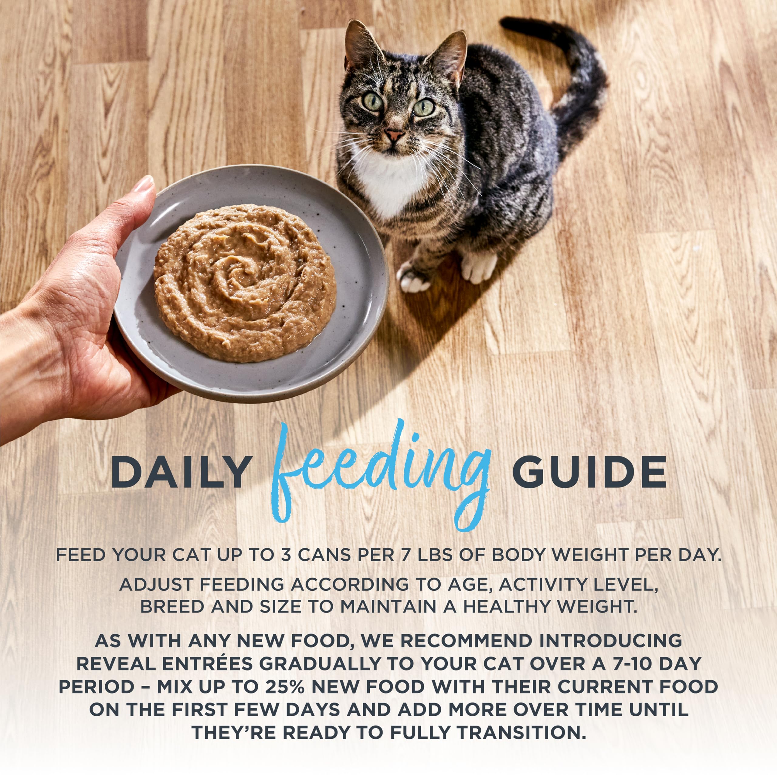 Reveal Entr  es Natural Wet Cat Food Pat  , Grain-Free with Added Vitamins & Minerals, Carrageenan-Free and High Protein, Fish V