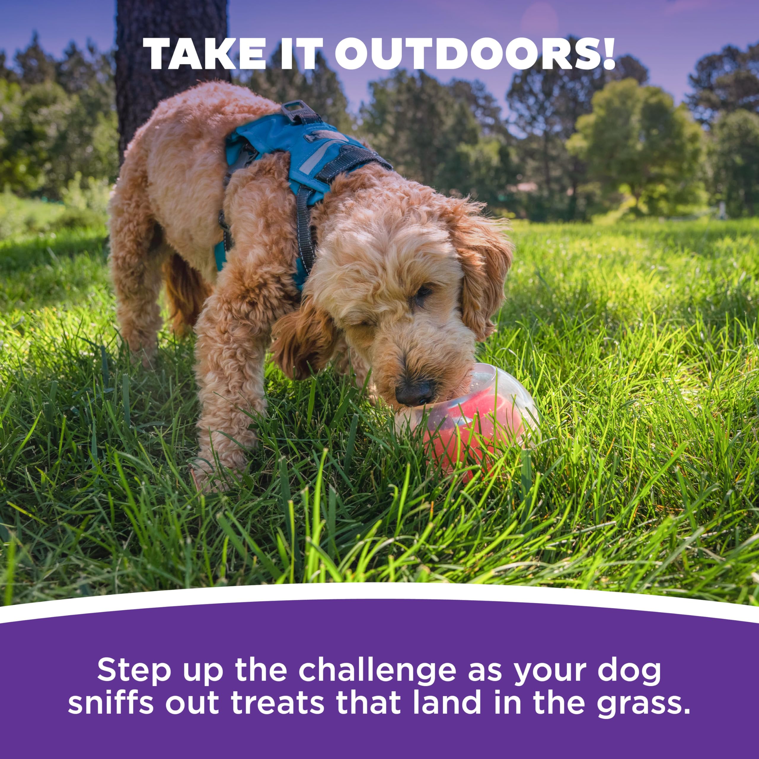Outward Hound Nina Ottosson Dog Rumble Puzzle Interactive Dog Ball Puzzle & Treat Maze