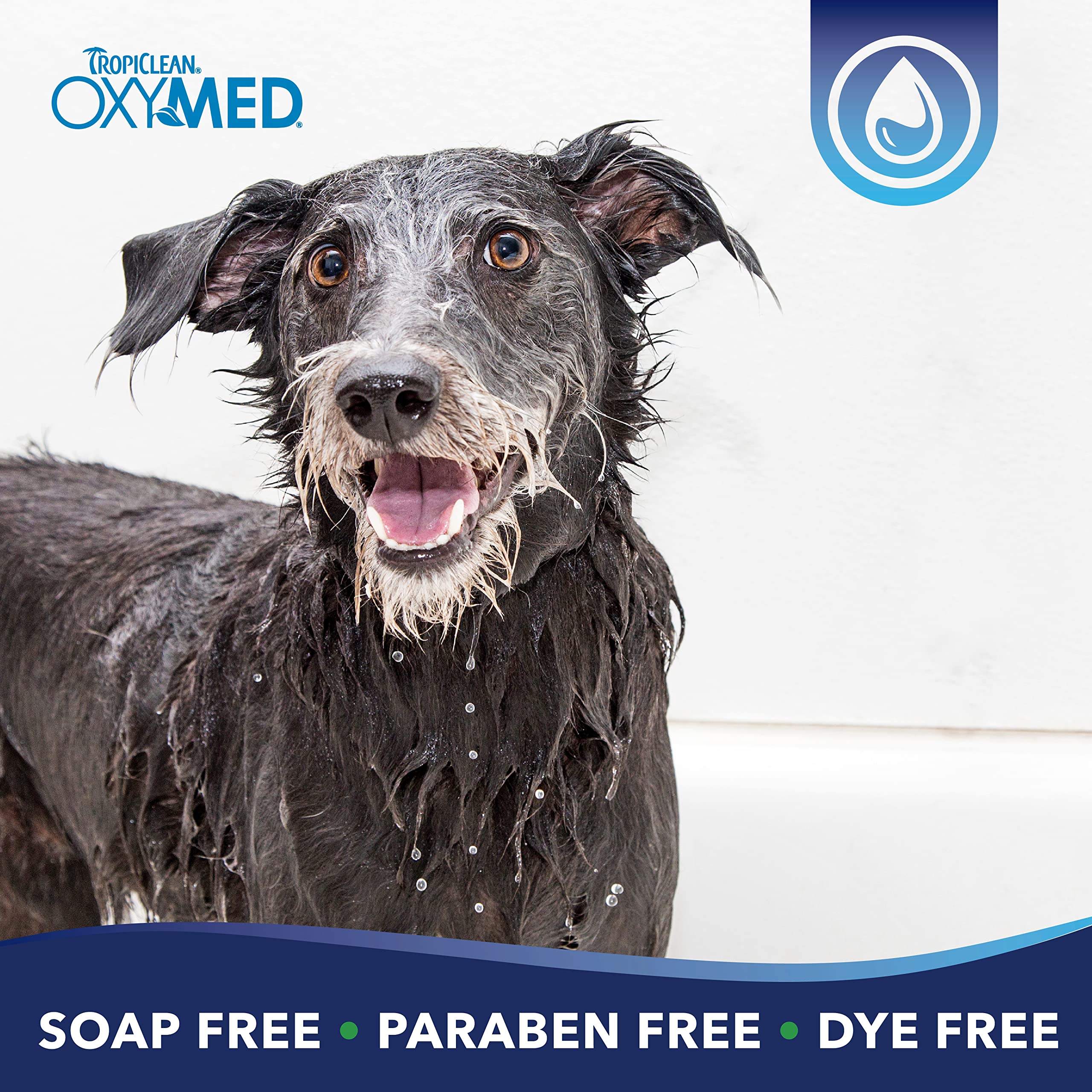 TropiClean OxyMed Dog Shampoo for Allergies and Itching, Medicated Oatmeal Shampoo for Dry Itchy Skin, Seborrhea, & Hot Spots, C