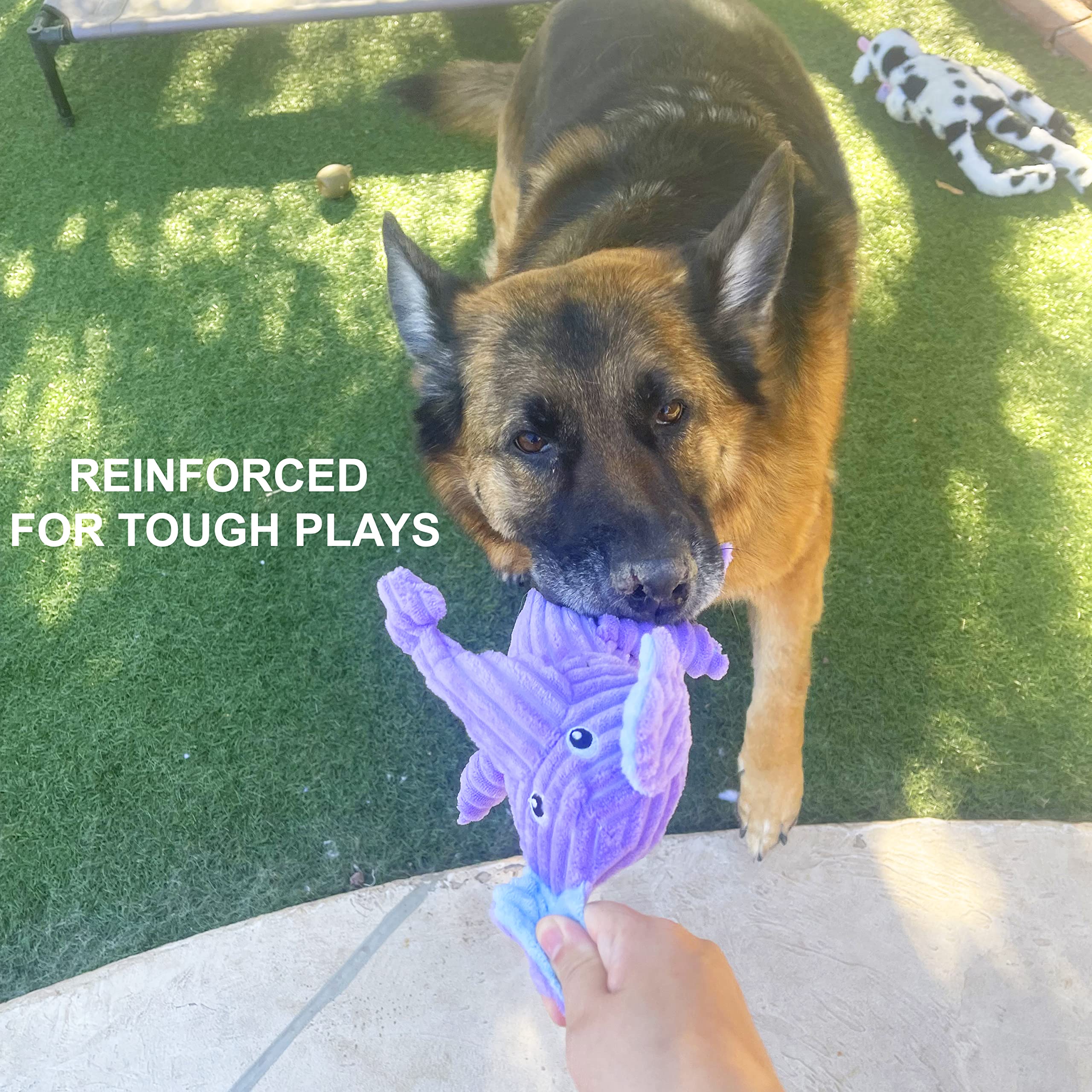 Jalousie 5 Pack Tough Plush Animal Dog Toys Assortment Value Bundle Dog Squeaky Toys Assortment Puppy Pet Mutt Dog Toy Dog Squea