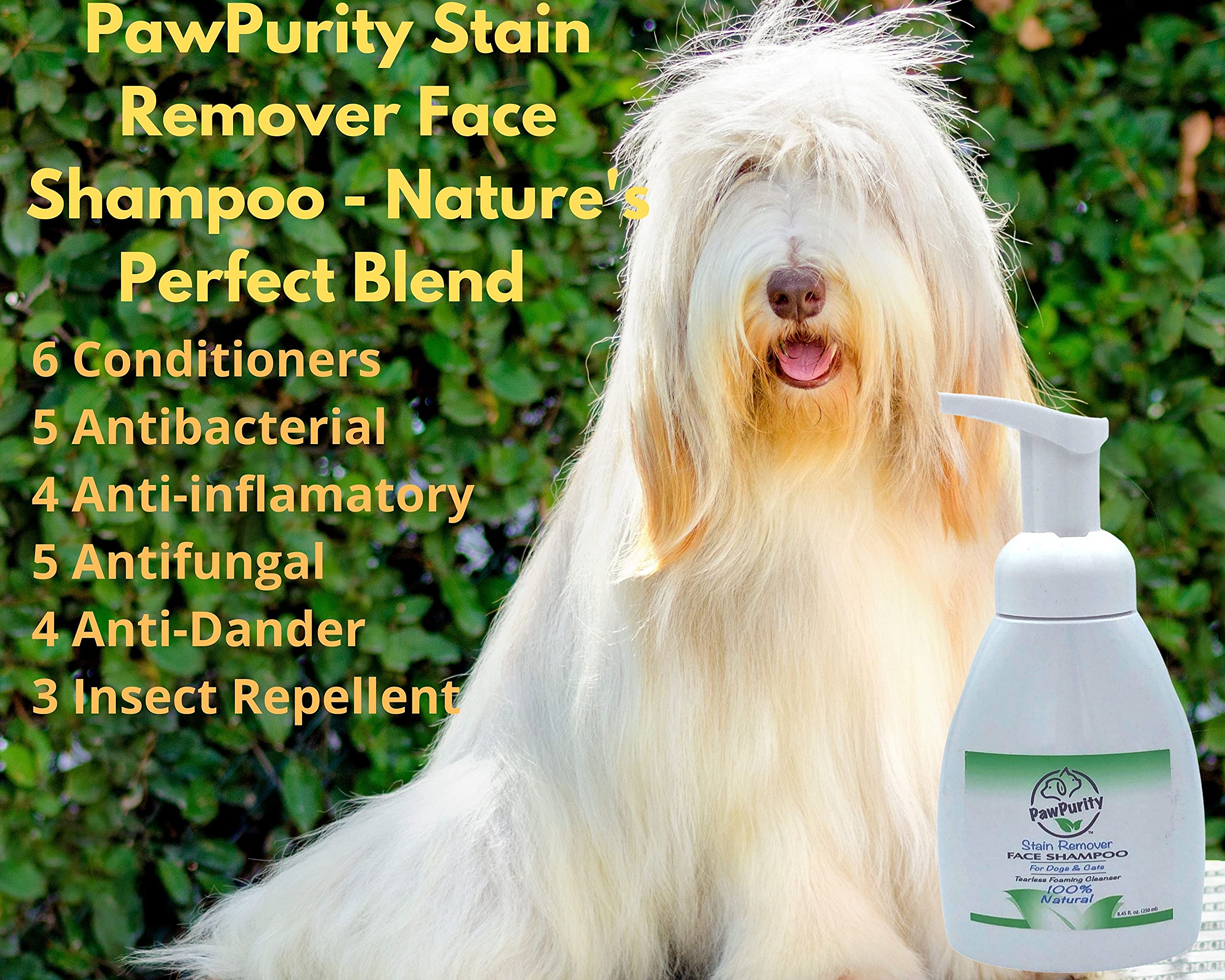 PawPurity Tearless Stain Remover Face Wash Shampoo (8.45 oz) for Dogs, Cats - All Ages, Breeds - 100% Natural Non Toxic - Shampo
