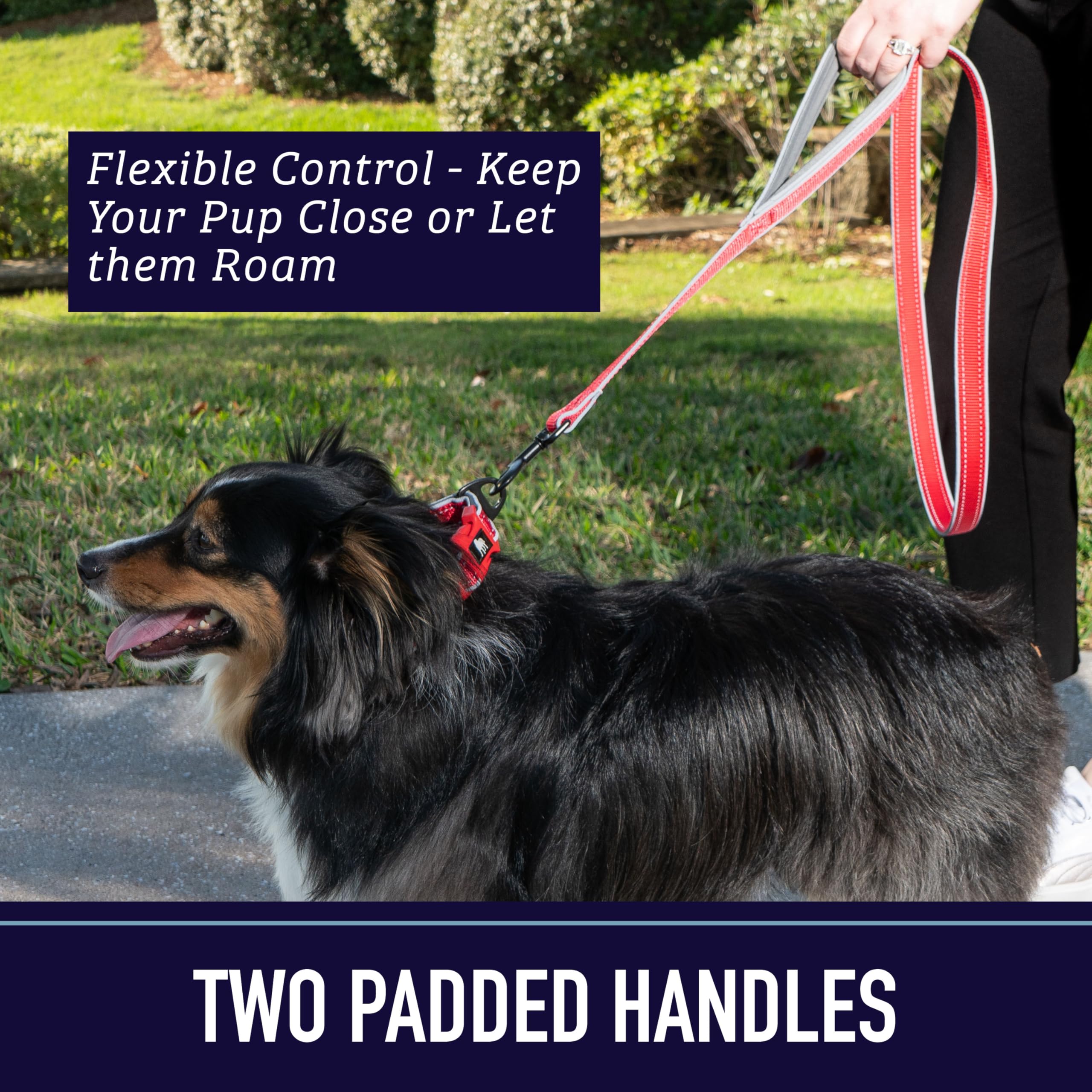 Leashboss Double Handle Dog Leash, 6 Ft Reflective Dog Leash With Two Padded Handles For Large Dogs Or Medium Dogs That Pull (Aqua)