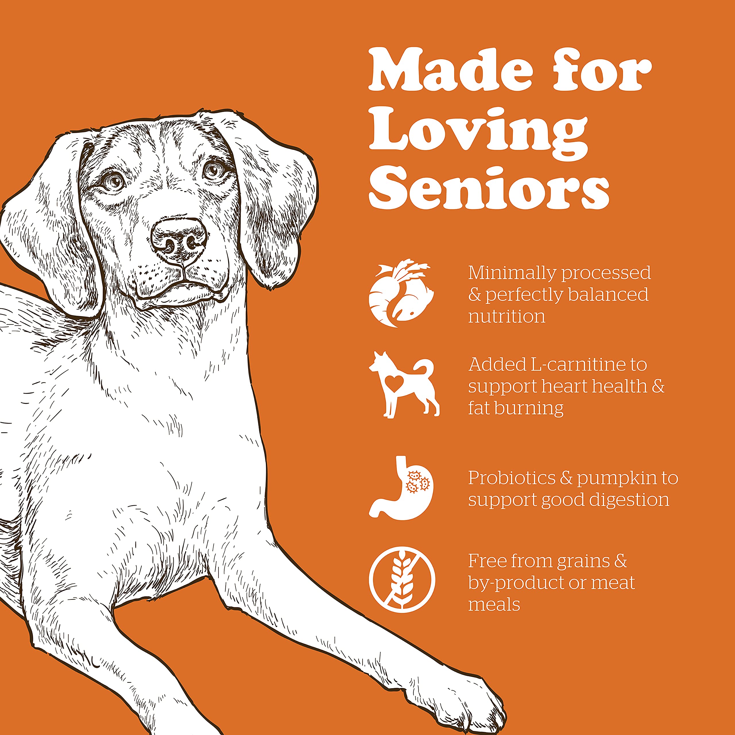 Now Fresh Grain-Free, Dry Dog Food, Real Meat and Fish, Turkey, Salmon and Duck Senior Recipe, All Breed Size, 3.5 lb Bag