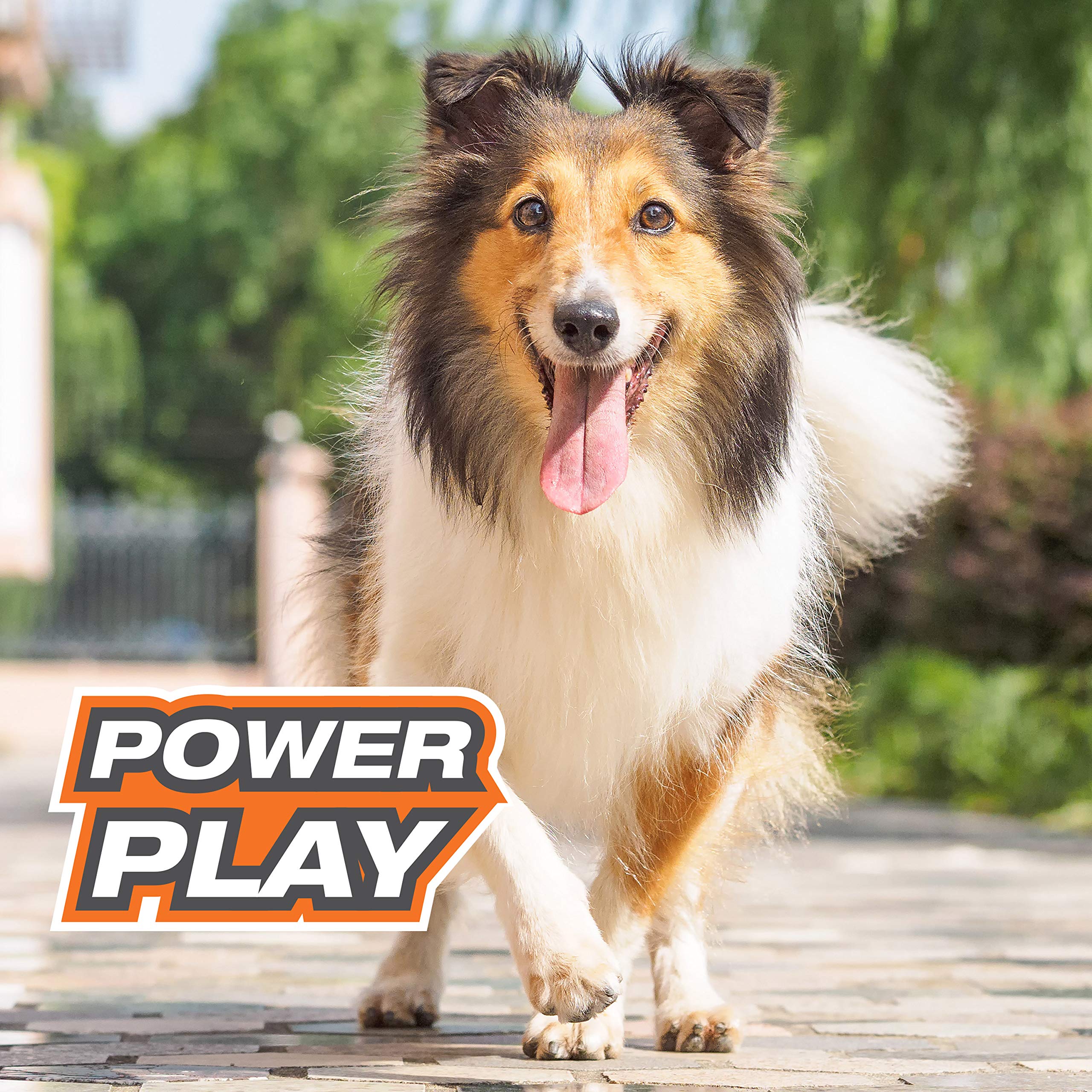 Nylabone Power Play Tennis Gripz Fetch Toy, Squeaky Tennis Ball Chew Toy For Dogs, Medium (3 Count)