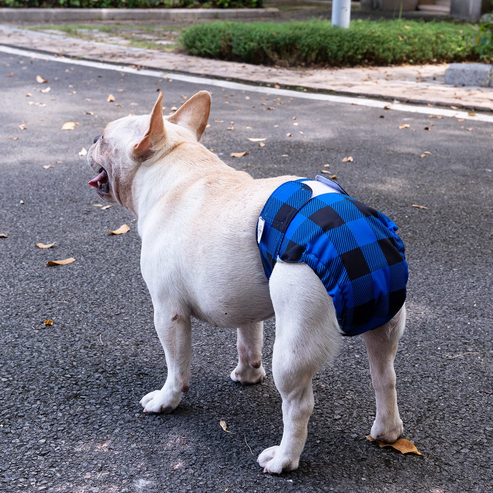 Cutebone Washable Dog Diapers Female 3 Pack Puppy Training Pants For Docked-Tail Dogs Wwd01S