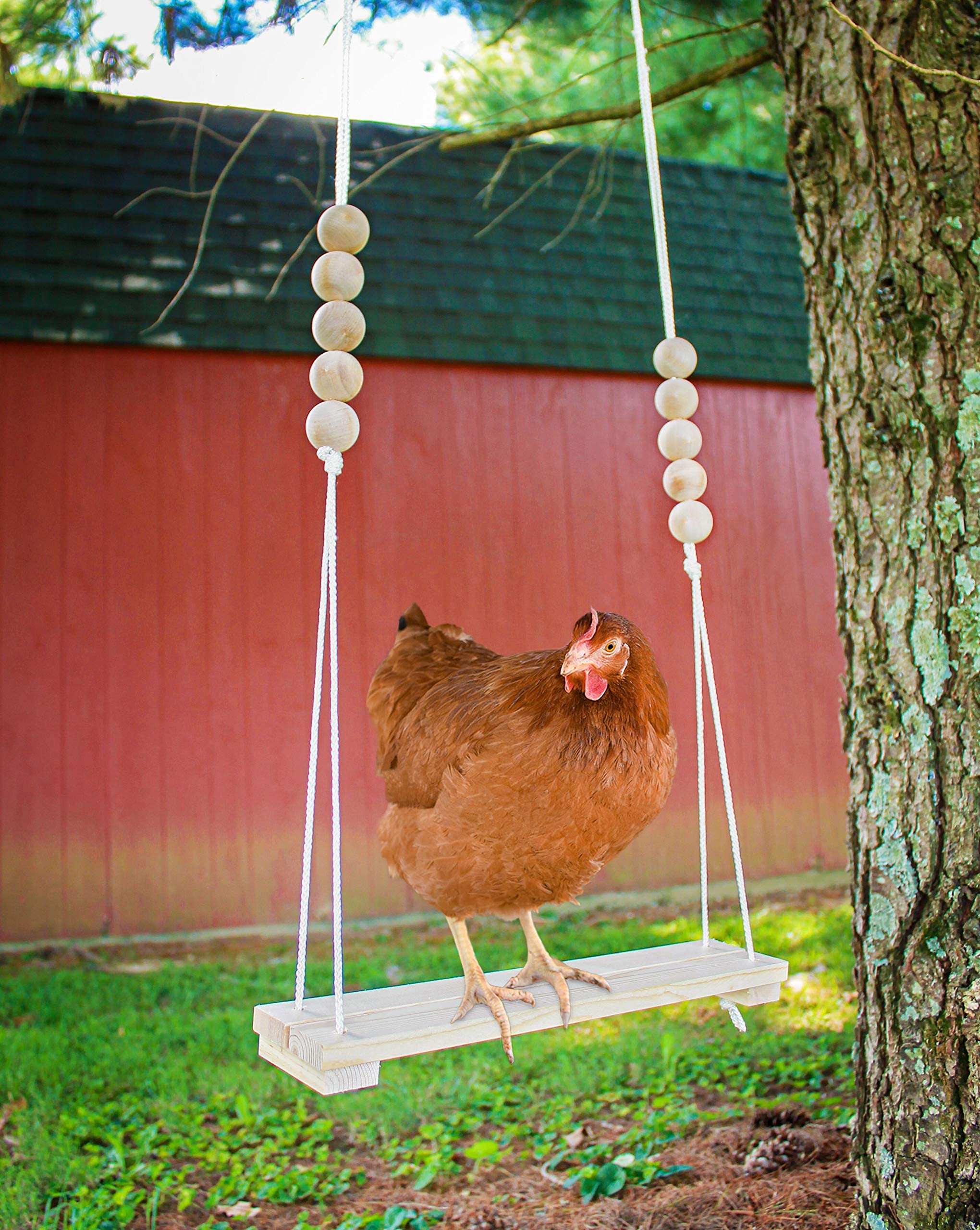 Chicken Swing Toy For Coop Handmade In Usa!!! Natural Safe Wooden Accessories Large Durable Perch Ladder For Poultry Run Rooster Hens Chicks Pet Parrots Macaw Entertainment Stress Relief For Birds