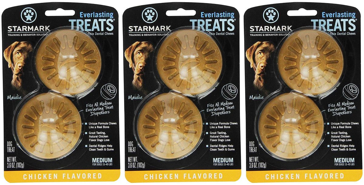 Everlasting Treat 2 Count (Pack Of 3)