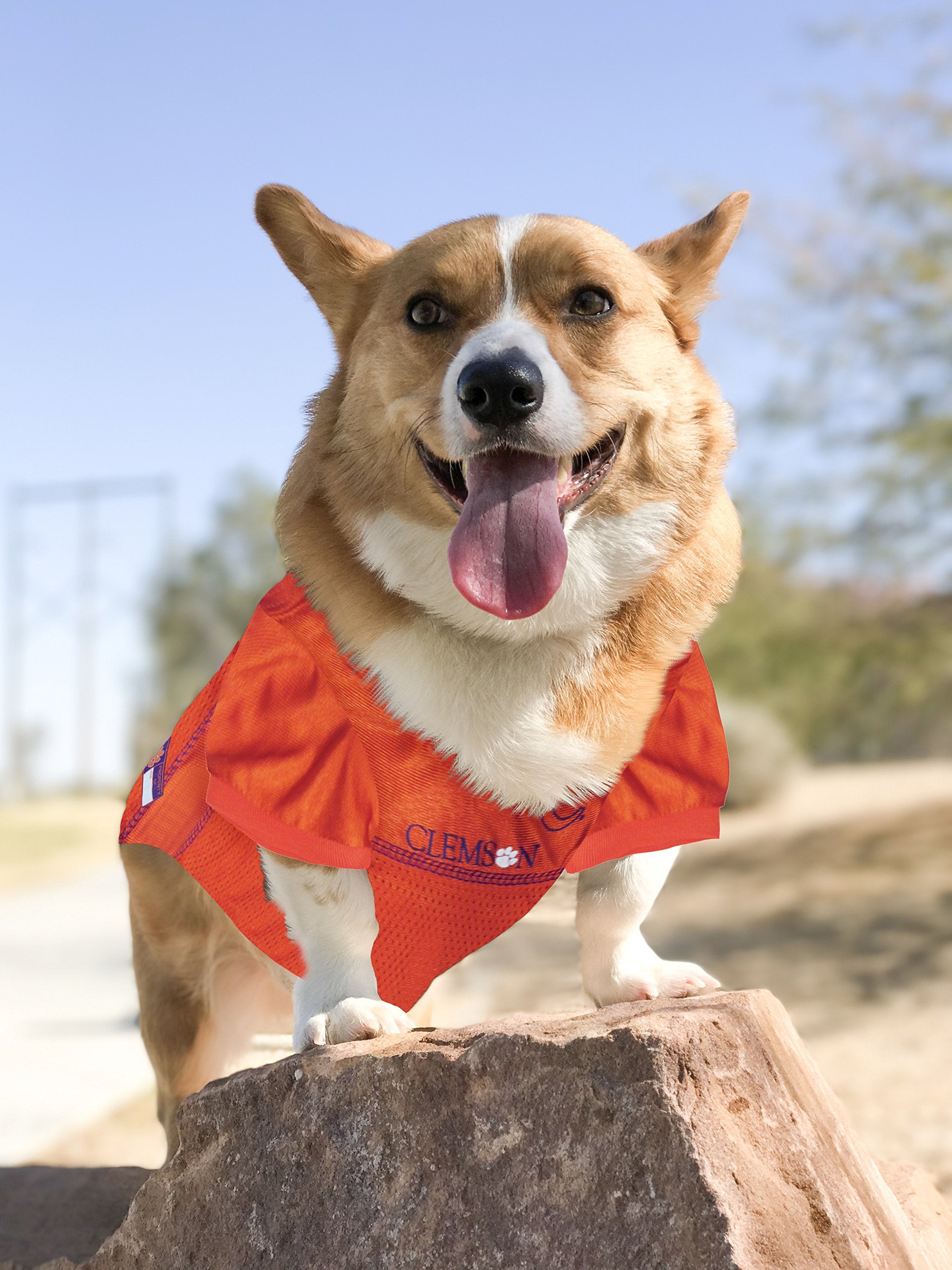 Pets First NCAA College Clemson Tigers Mesh Jersey for DOGS & CATS, XX-Large. Licensed Dog Jersey with your Favorite Football/Ba