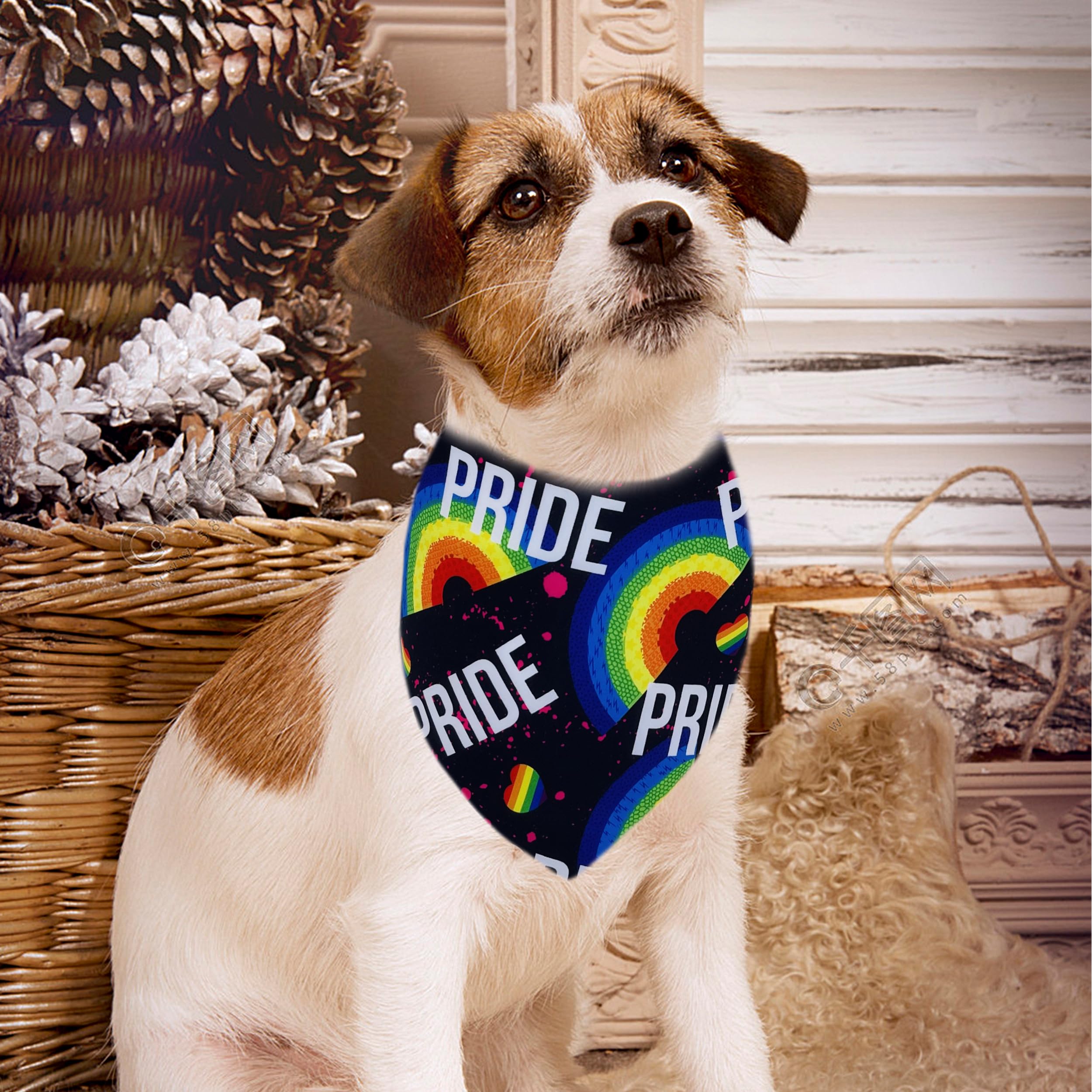 JpGdn 10PCS Pride Day Dog Bandanas with Rainbow Color for XXS XS Small Dog Triangle Bibs Scarves Boys and Girls Gay Pride with L