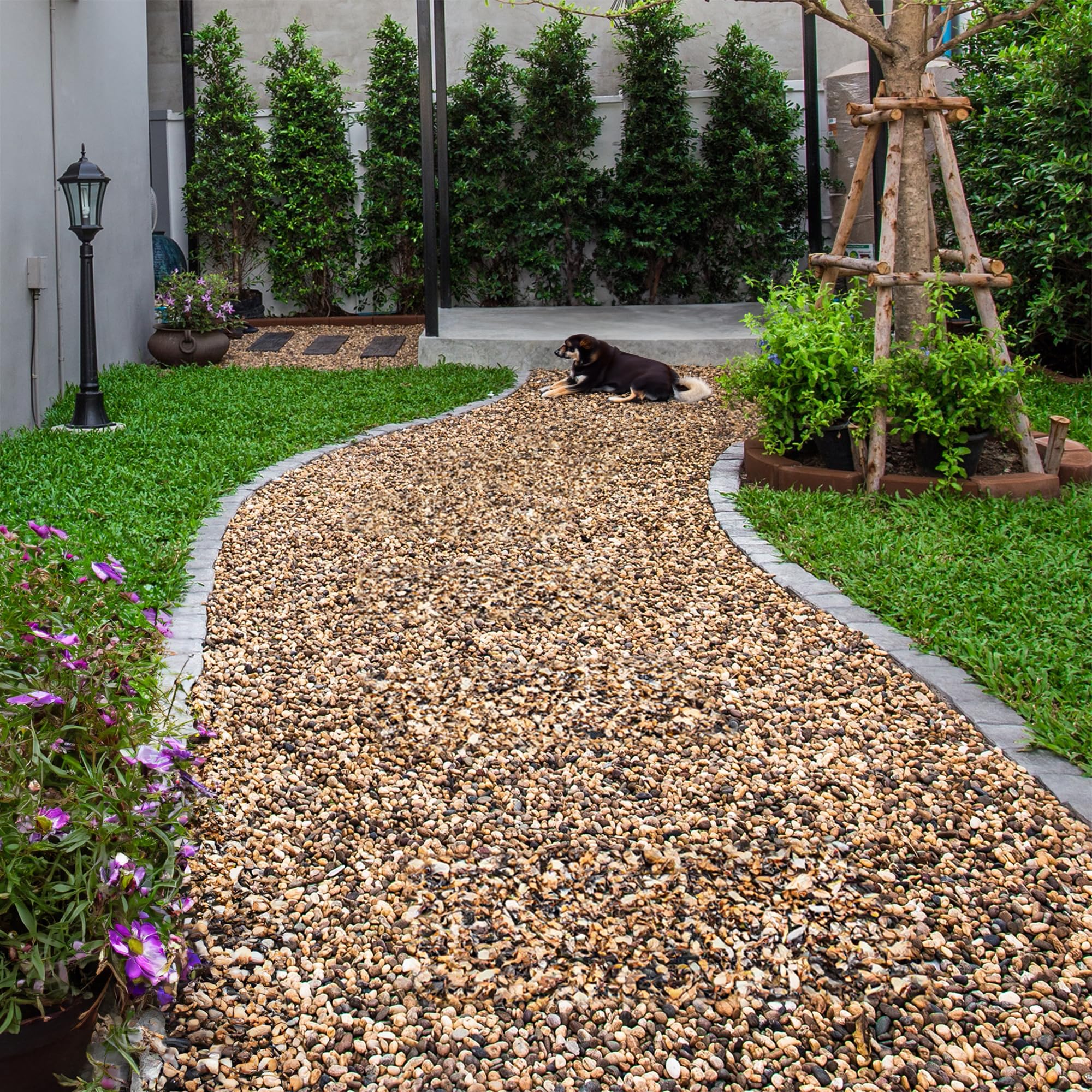 VINICS 10 lbs Aquarium Gravel, 1-2mm Fish Tank Gravel, Premium Gravel and Substrate for Aquariums, Fish Tanks and Terrariums, Xi