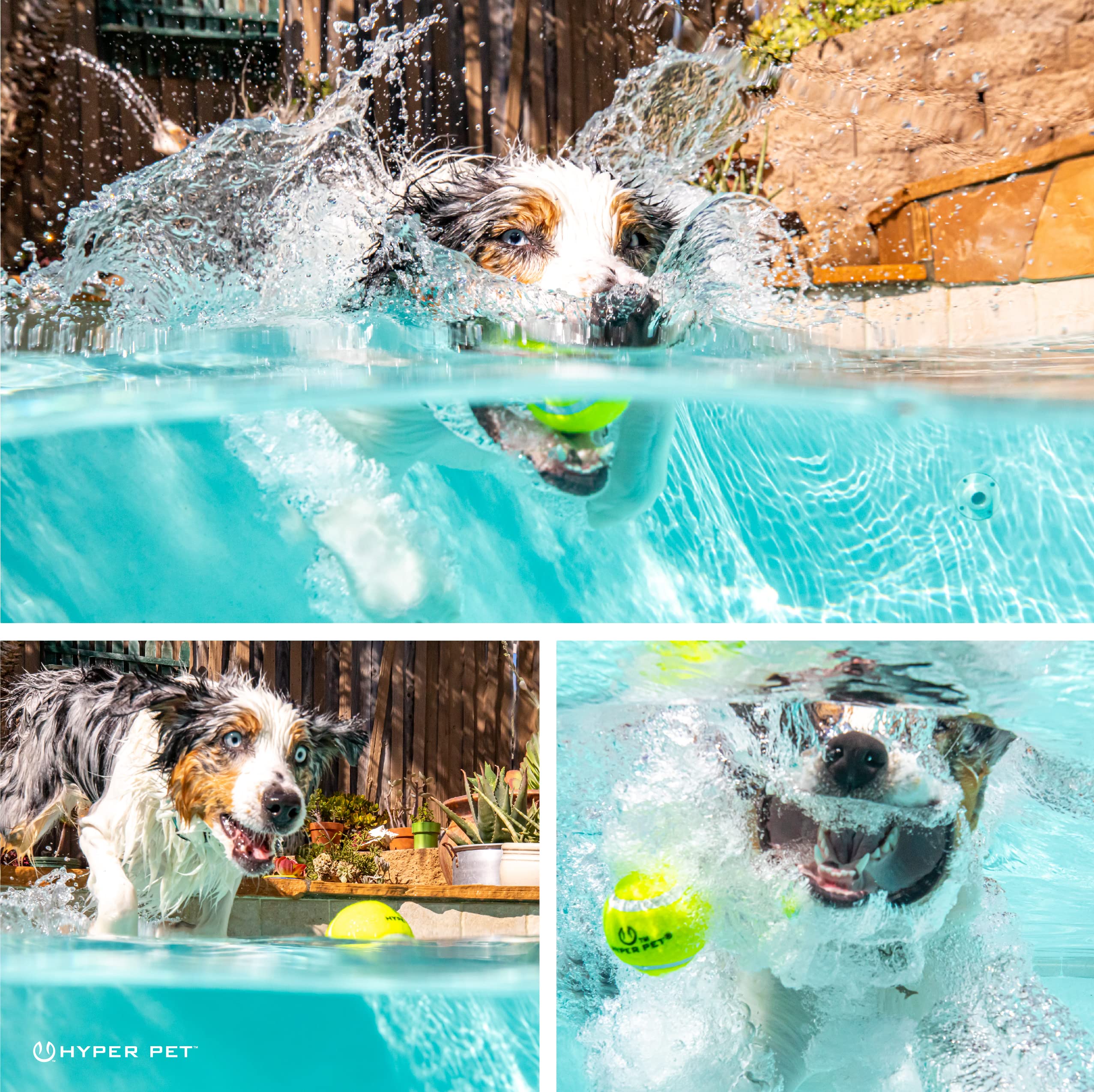 Hyper Pet Tennis Balls For Dogs (Pet Safe Dog Ball Dog Tennis Balls For Exercise & Training) Dog Ball Interactive Dog Toys Work