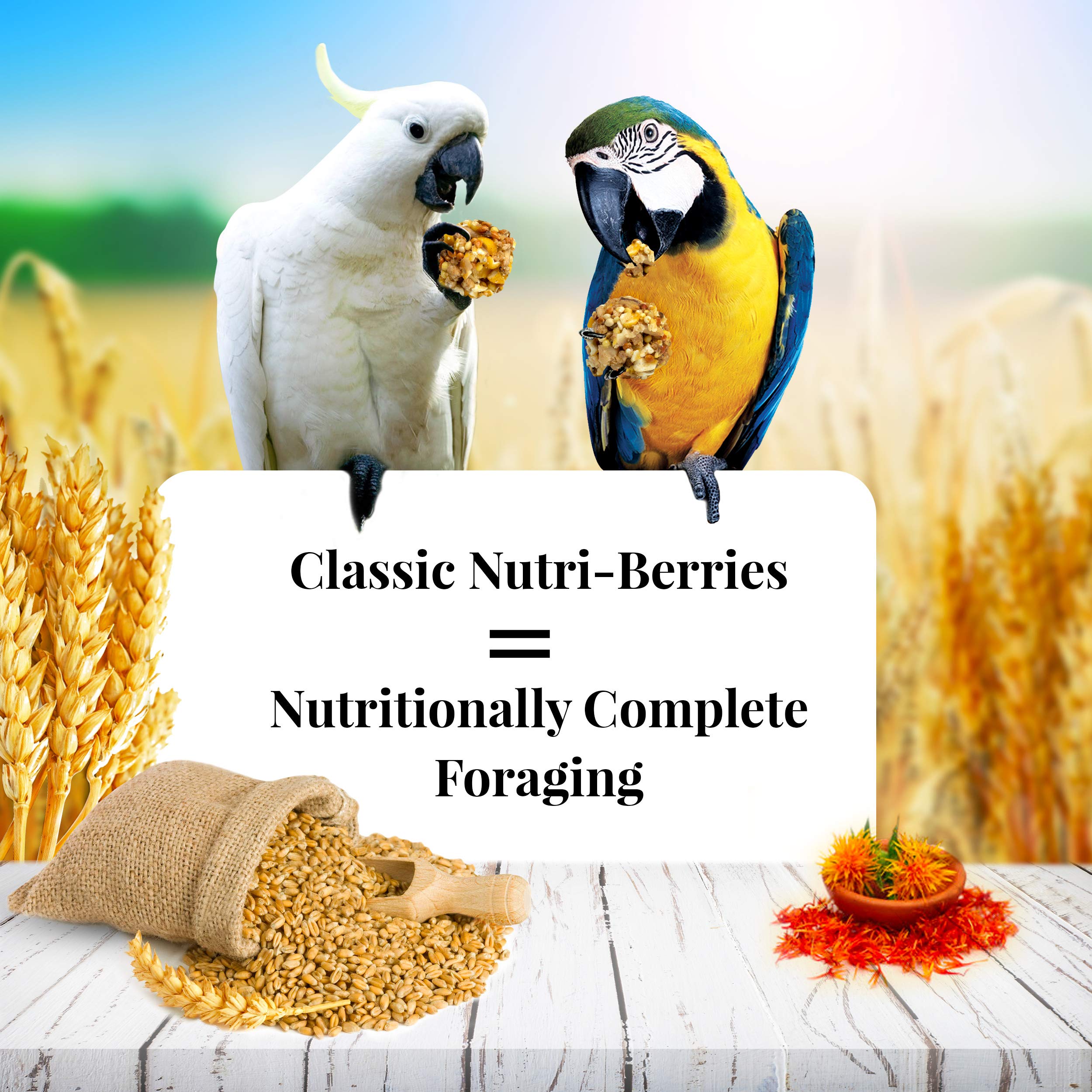 LAFEBERS Classic Nutri-Berries Pet Bird Food, Made with Non-GMO and Human-Grade Ingredients, for Macaws and Cockatoos, 10 oz