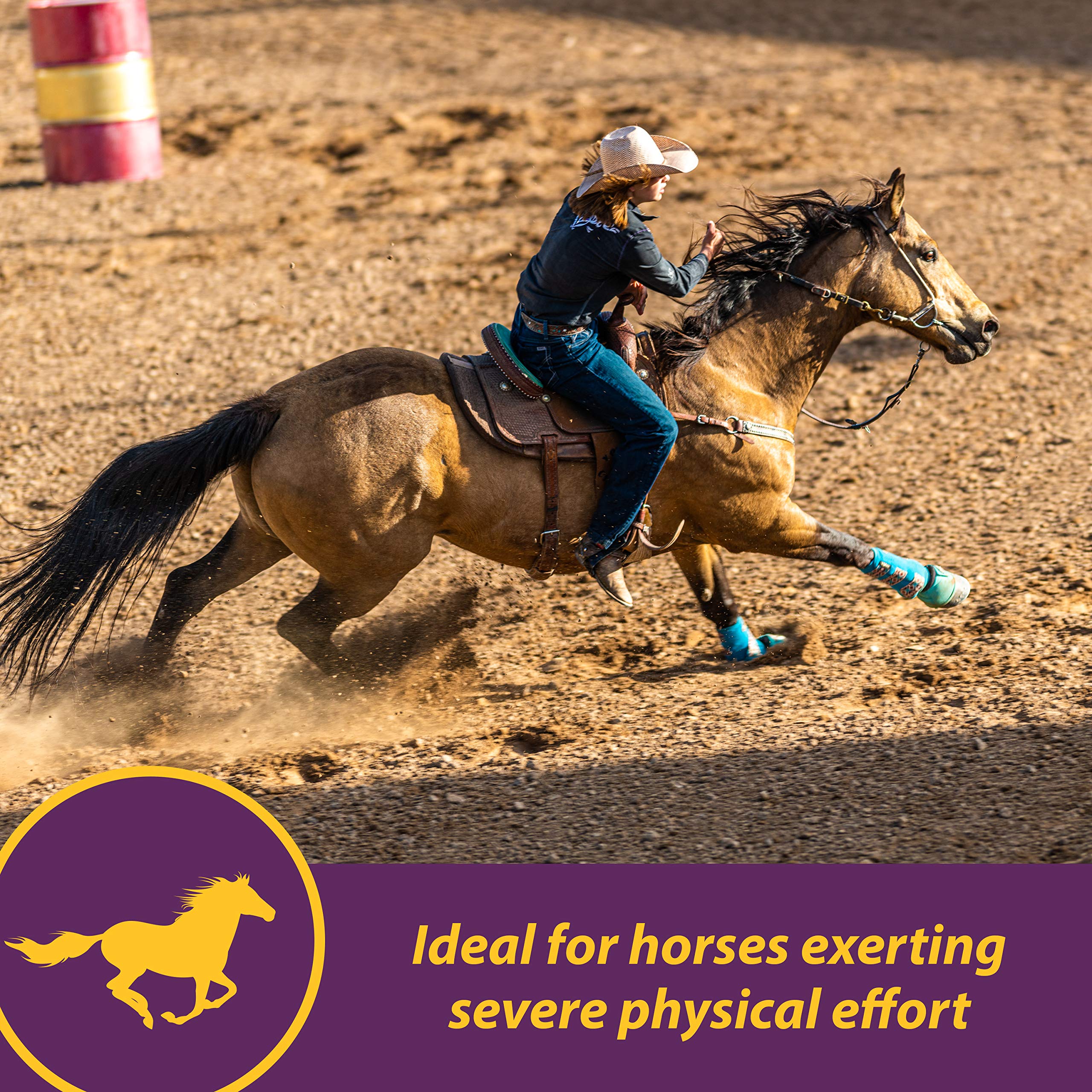 Farnam Horse Health Vita E & Selenium Crumbles Horse Vitamin Supplement, Supports optimal muscle health and antioxidant support,