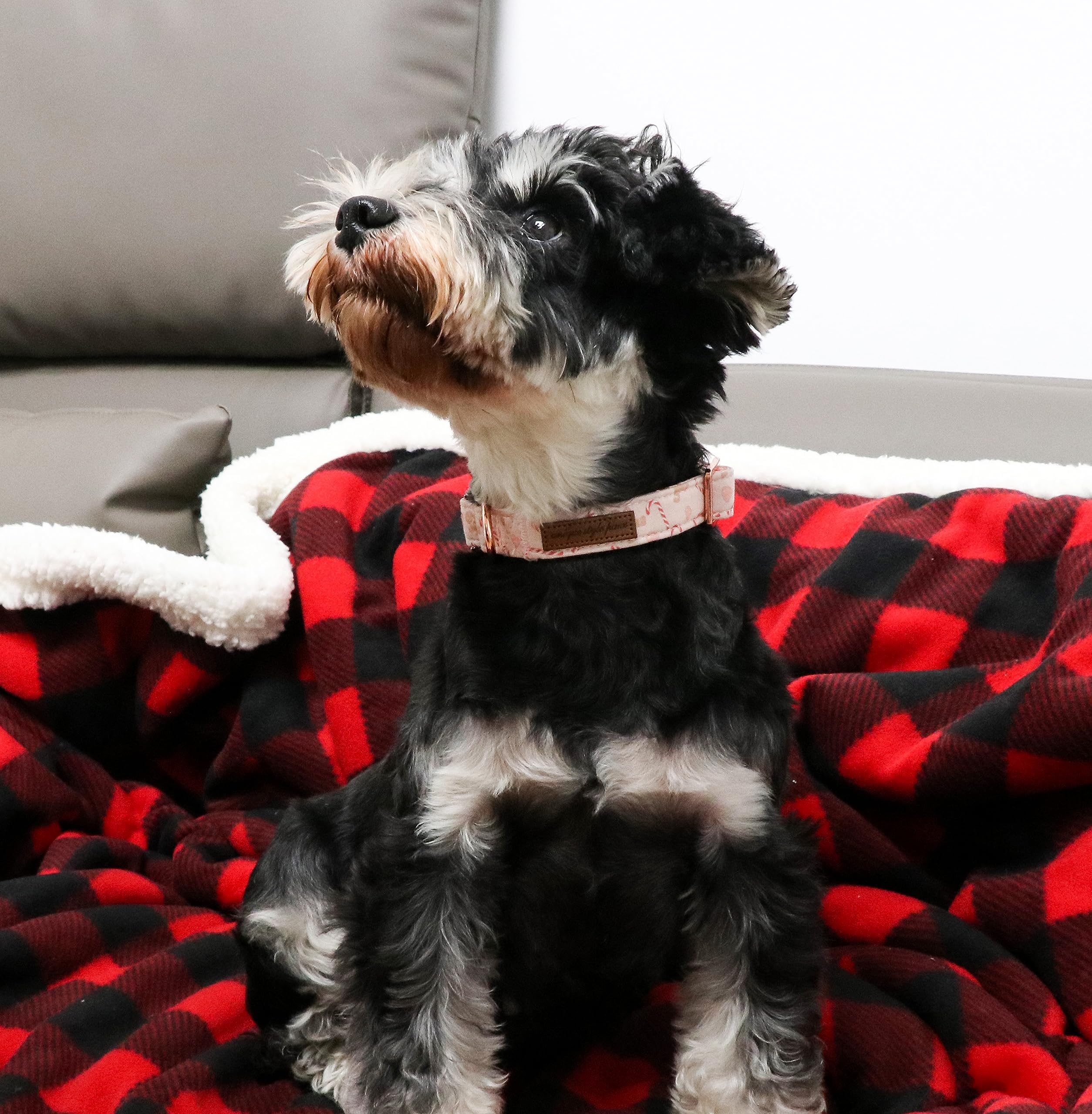 Unique Style Paws Christmas Dog Collar Metal Buckle Pink Gingerbread Puppy Collar Gift Durable Cute Collar For Small Medium Larg