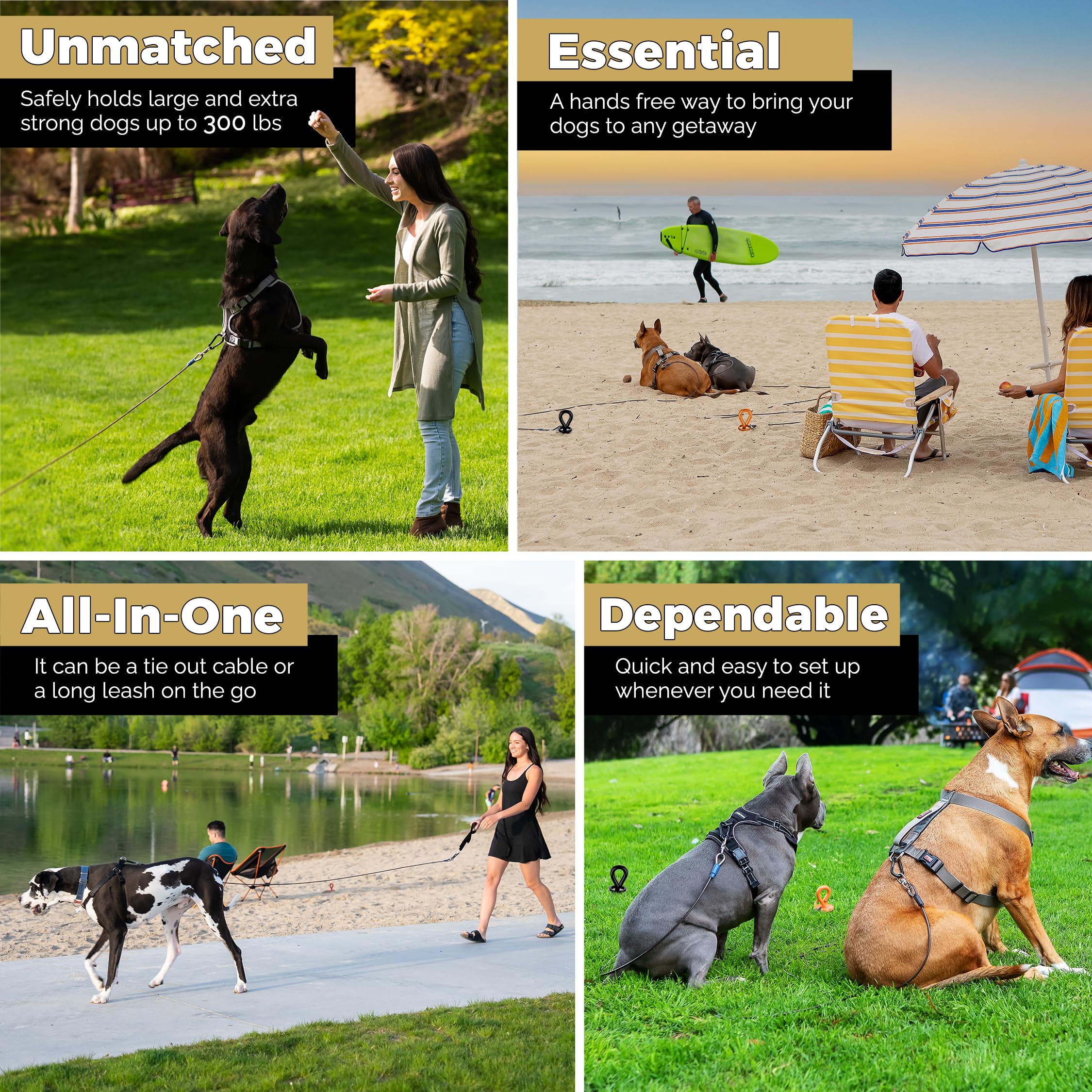 Royal Paw Dog Tie Out Cable And Stake 30Ft - For Large Dogs Up To 300 Lbs - Heavy Duty Tether And Dog Stake For Yard, Beach & Ca