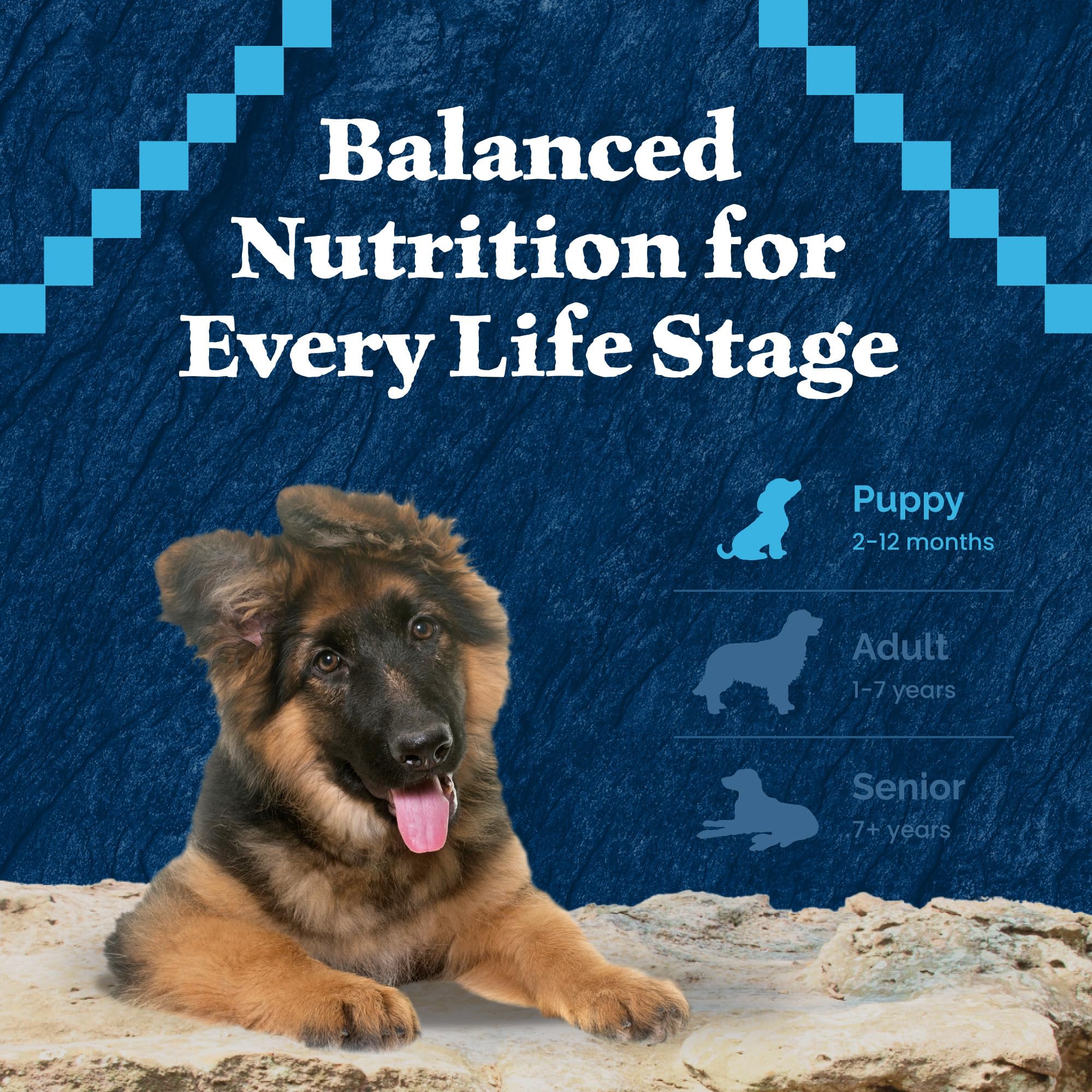Blue Buffalo Wilderness Puppy High-Protein Dry Dog Food with Real Chicken, Grain-Free, Made in the USA with Natural Ingredients,