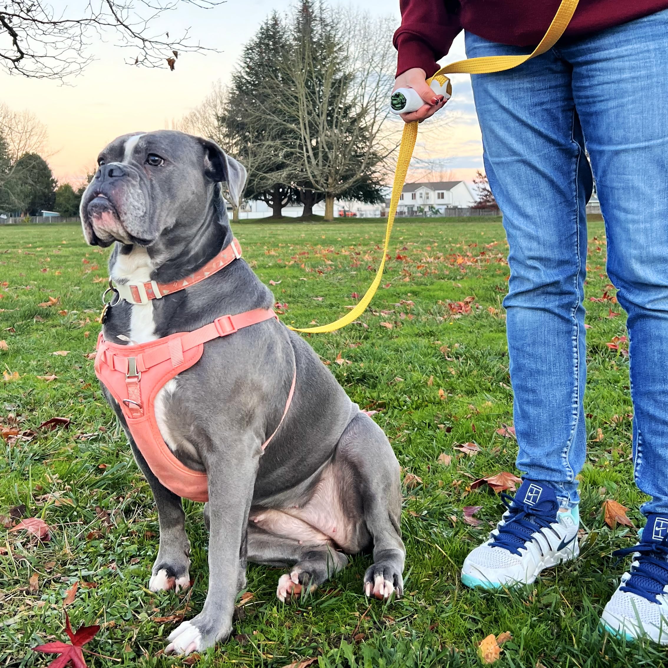 Quick-Control Dog Leash - Adjustable T-Grip Traffic Leash with Reflective Design, 6-in-1 Hands-Free, Poop Bag Holder, Heavy-Duty
