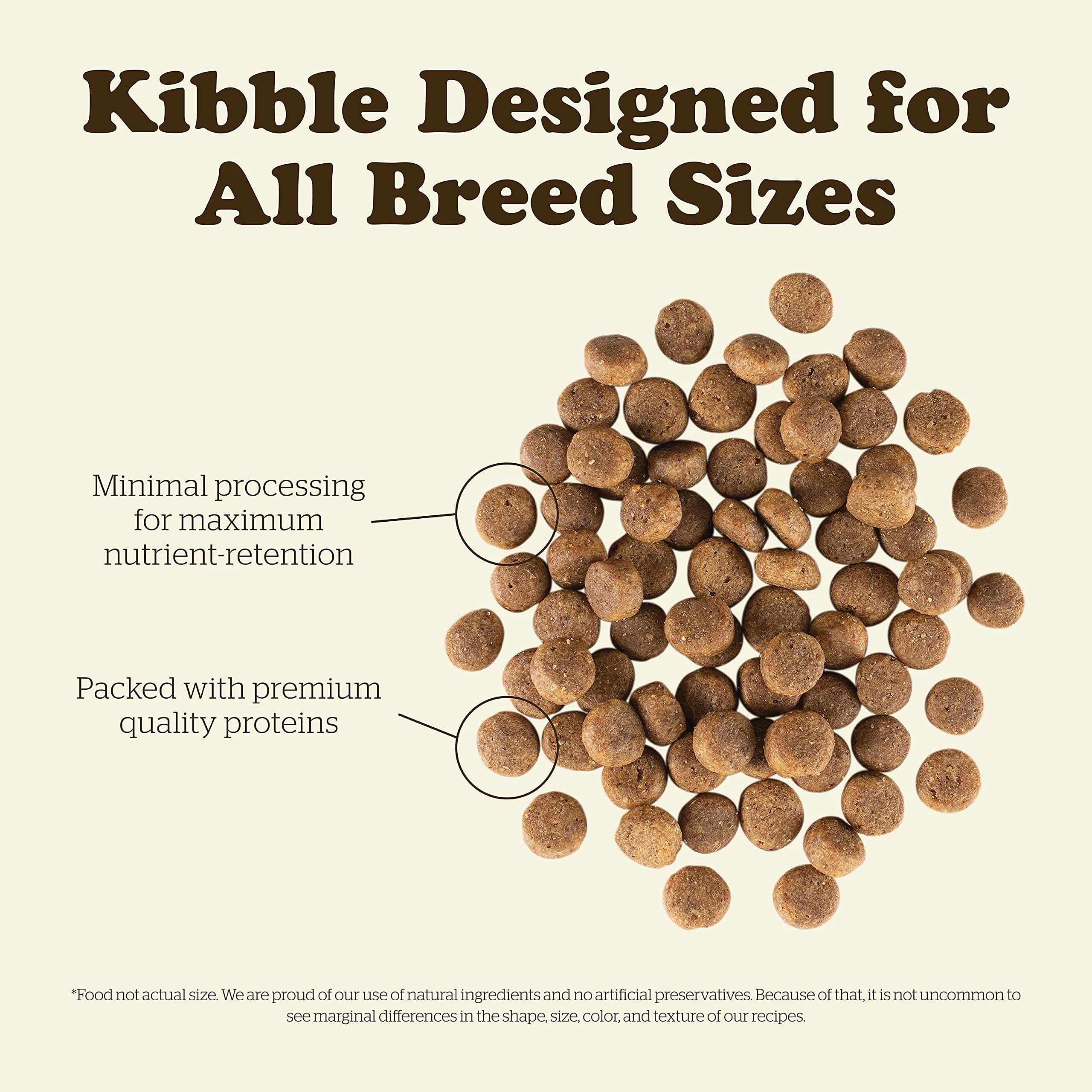 Now Fresh Grain-Free, Dry Dog Food, Real Meat and Fish, Turkey, Salmon and Duck Puppy Recipe, All Breed Size, 3.5 lb Bag