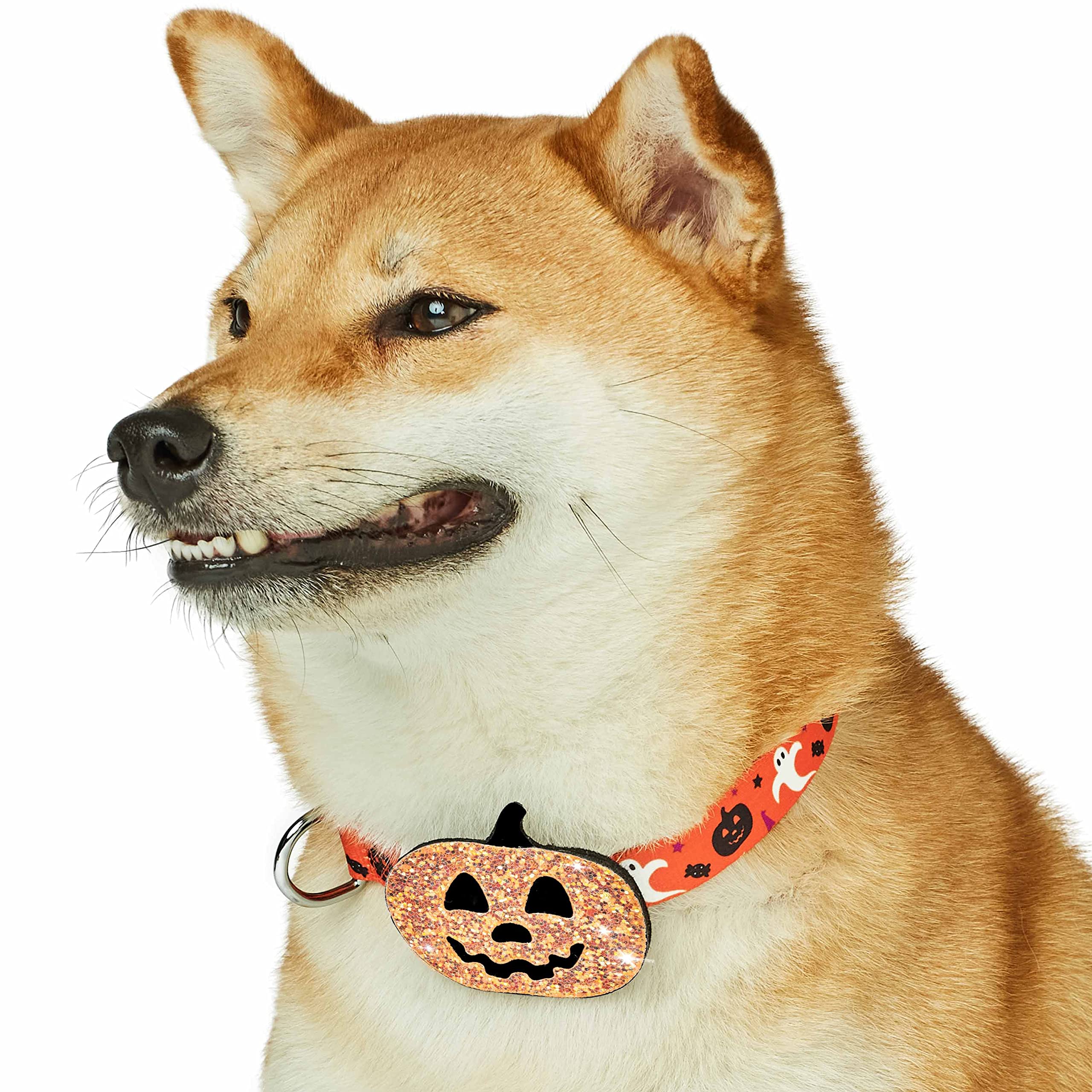 Blueberry Pet 2023 New Halloween Party Adjustable Dog Collar With Detachable Pumpkin Accessory, Small, Neck 12''-16''