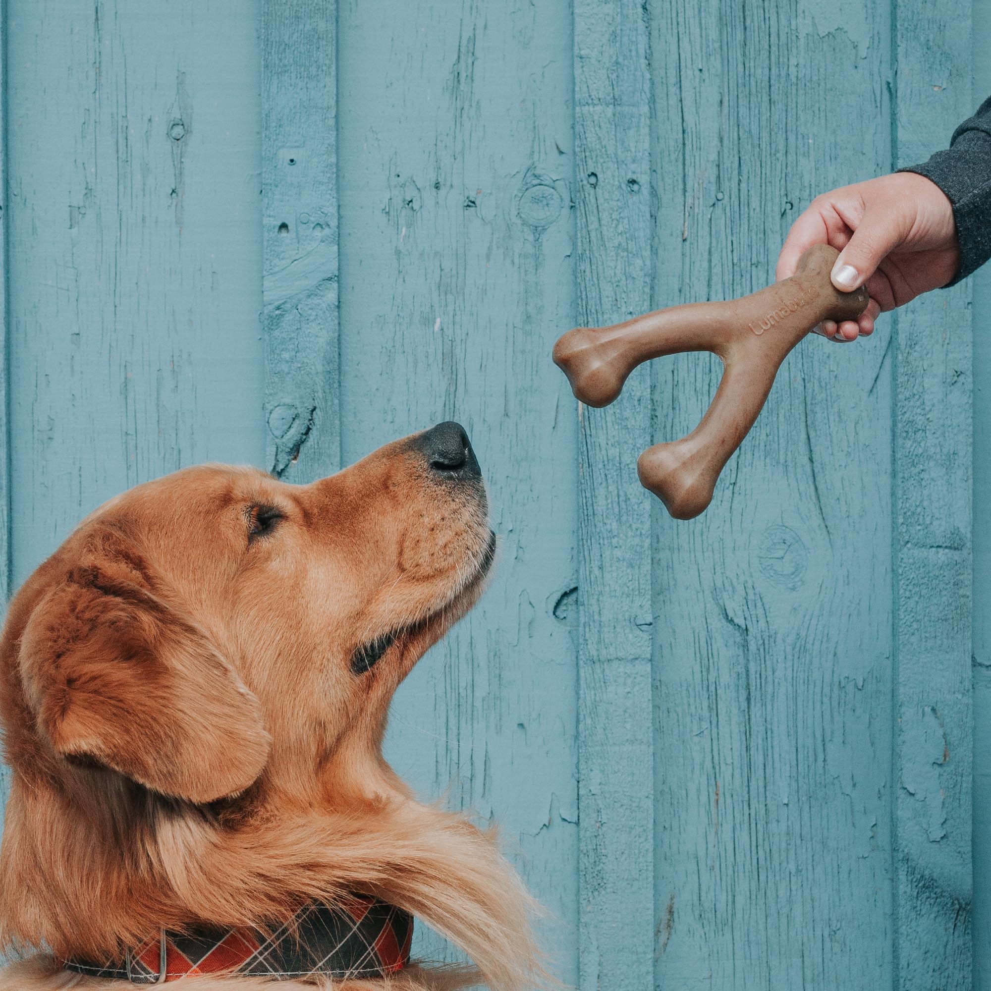 Lumabone Real Bacon Medium 3-Pack Durable Dog Chew Toys For Aggressive Chewers, Made In Usa – Wishbone, Zaggler, Stick