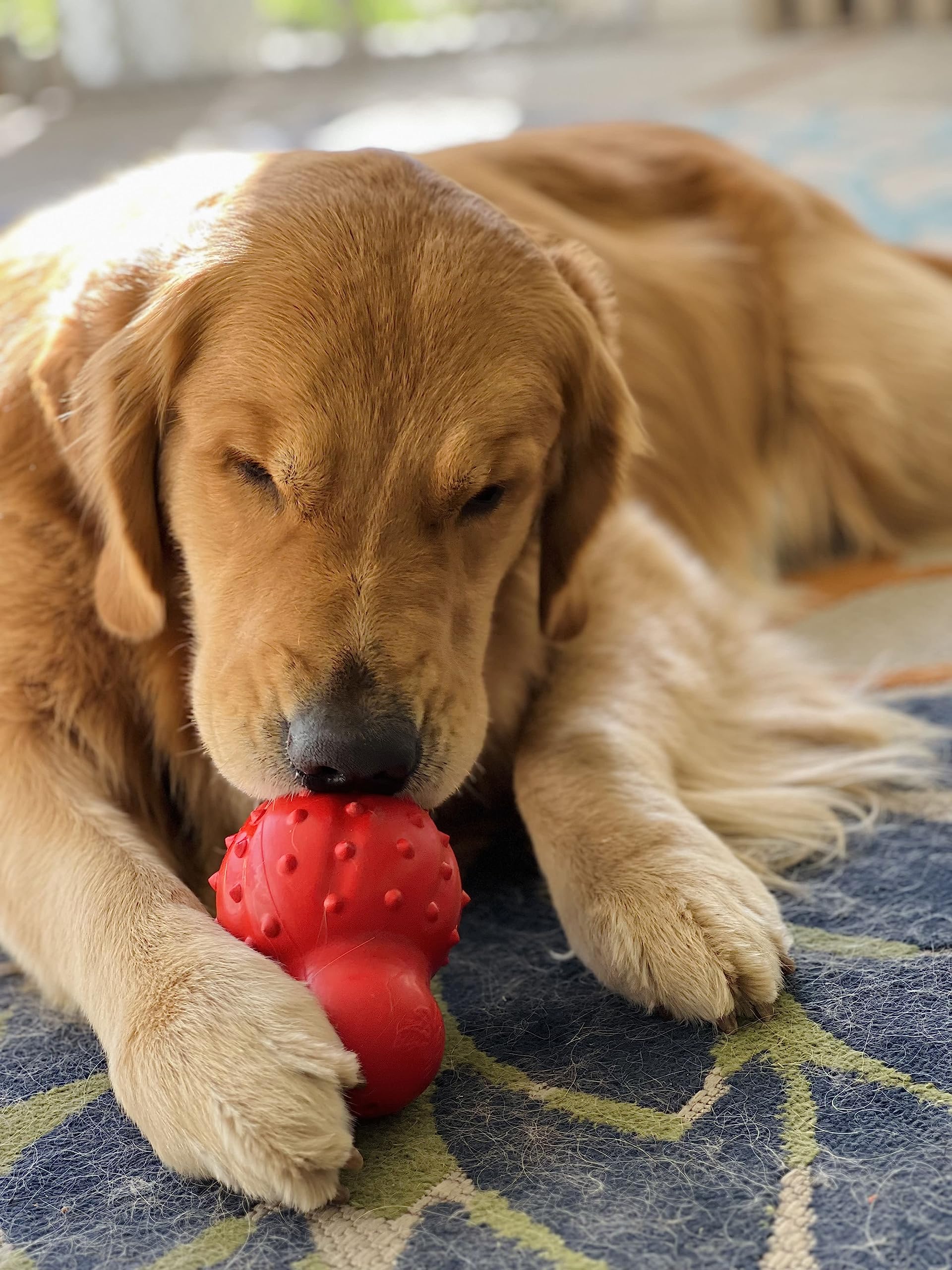 Nylabone Rubber Stuffable Cone Strong Chew Toy For Dogs, Dog Toys For Moderate & Aggressive Chewers, Bacon Flavor, Large - Up To 50 Lbs, 1 Count