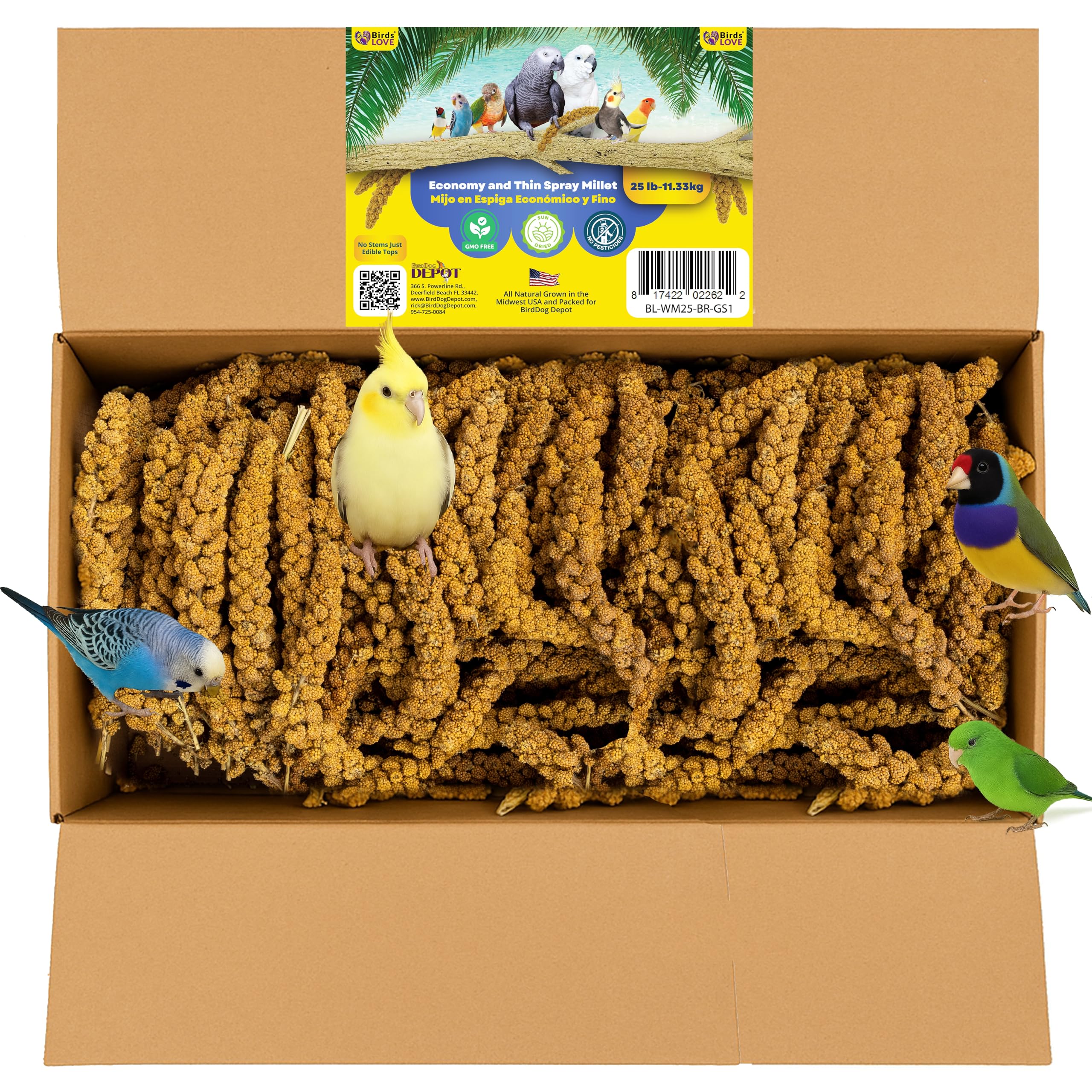 Birds LOVE Economy & Thin Special Spray Millet GMO-Free (No Stems Only Edible Tops) for Birds Cockatiel Lovebird Parakeet Finch 
