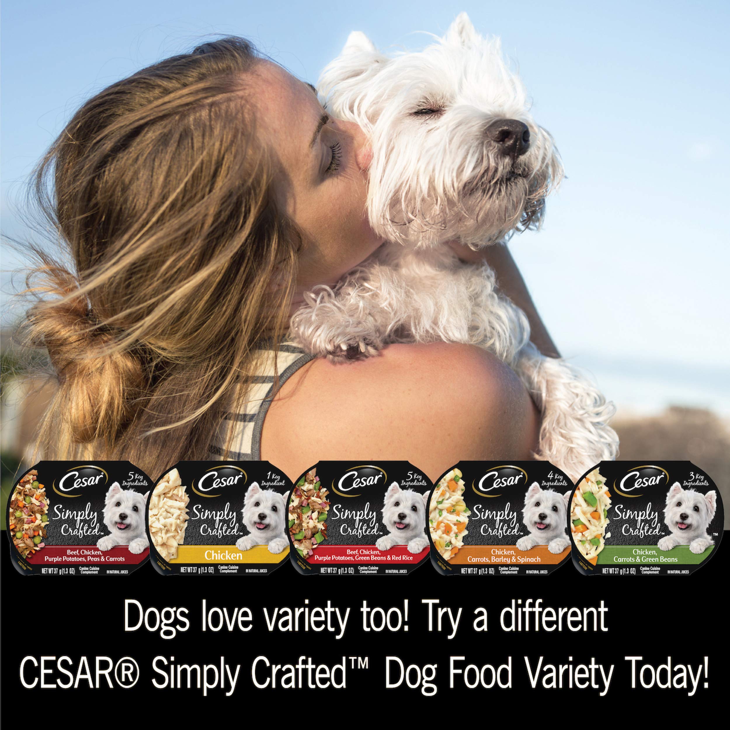 CESAR SIMPLY CRAFTED Adult Soft Wet Dog Food Meal Topper Beef, Chicken, Purple Potatoes, Green Beans & Red Rice, (10) 1.3 oz. Tu