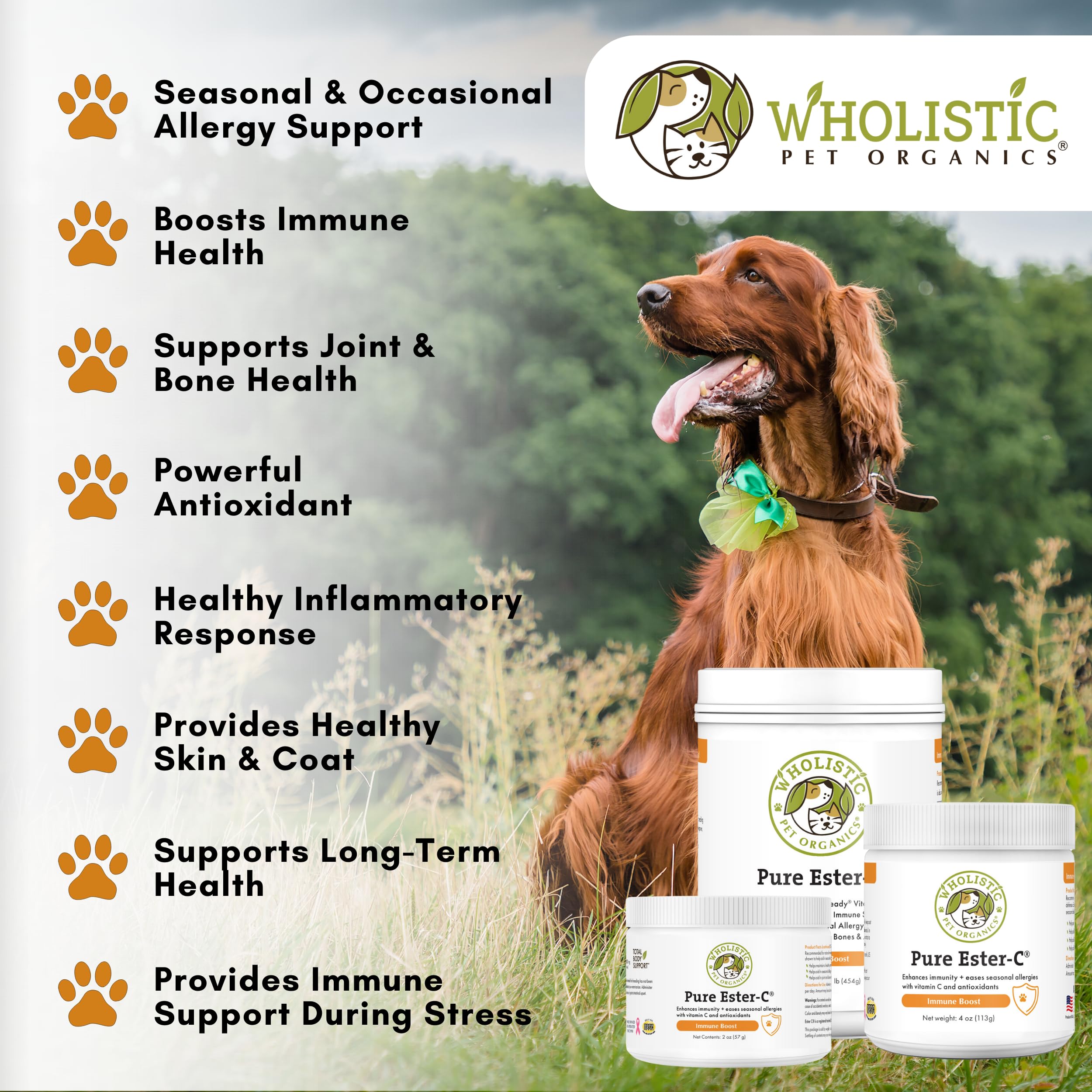 Wholistic Pet Organics Pure Ester-C Powder for Dogs & Cats - 1 Lb - Vitamin C Supplement for Immune Support, Skin & Coat Health,