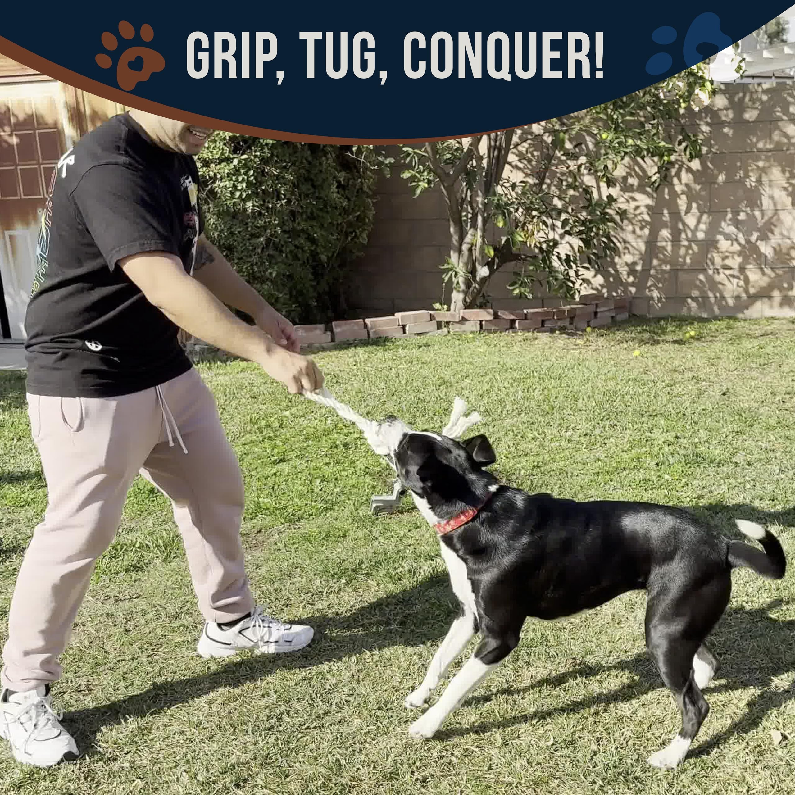 Gowgow Combo Real Coffee Dog Wood Chew Large 9.7' & 100% Natural Rope Toys For Dogs - Organic Wood Stick For Dog - Large Toys F