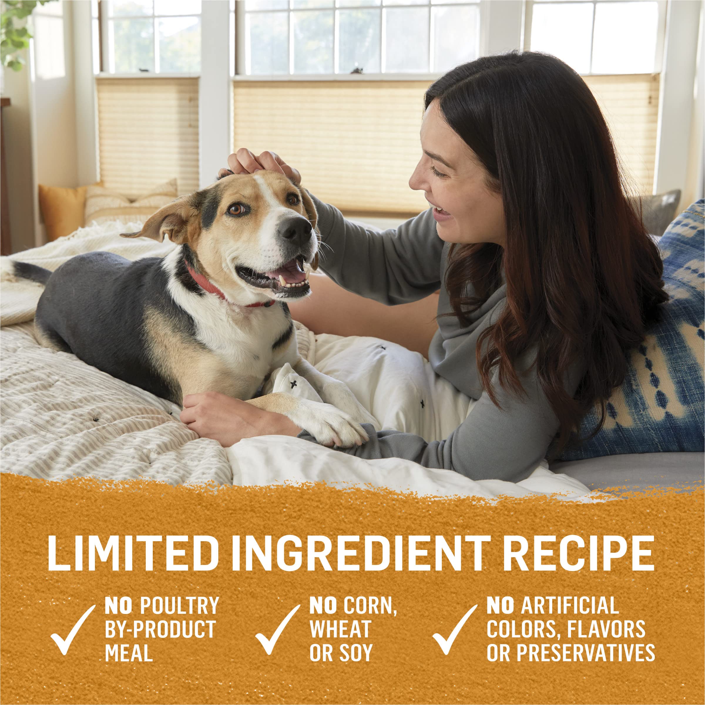 Purina Beyond Chicken and Sweet Potato in Gravy Grain Free Wet Dog Food - (Pack of 12) 12.5 oz. Cans